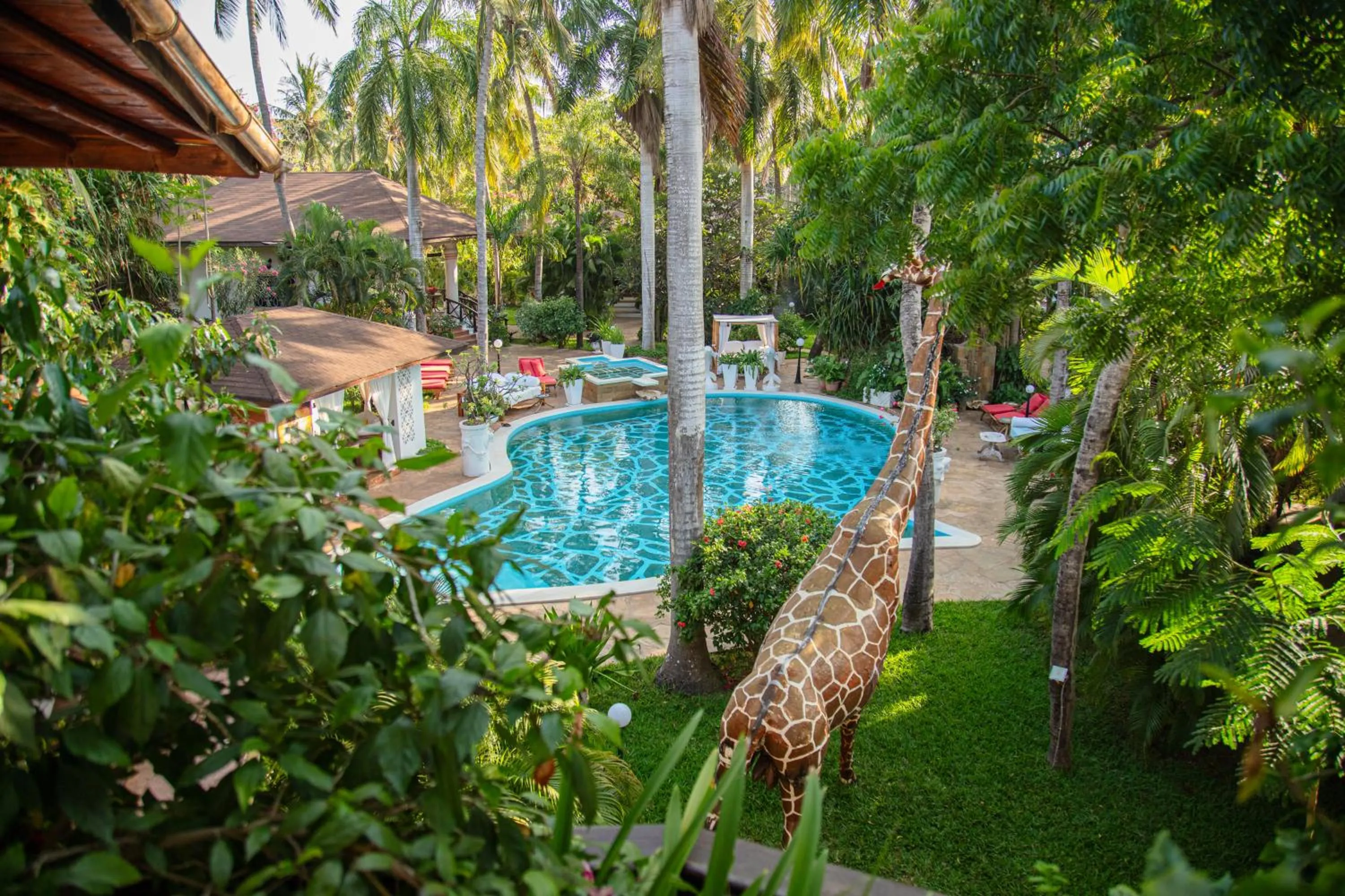 Swimming pool in African House Resort
