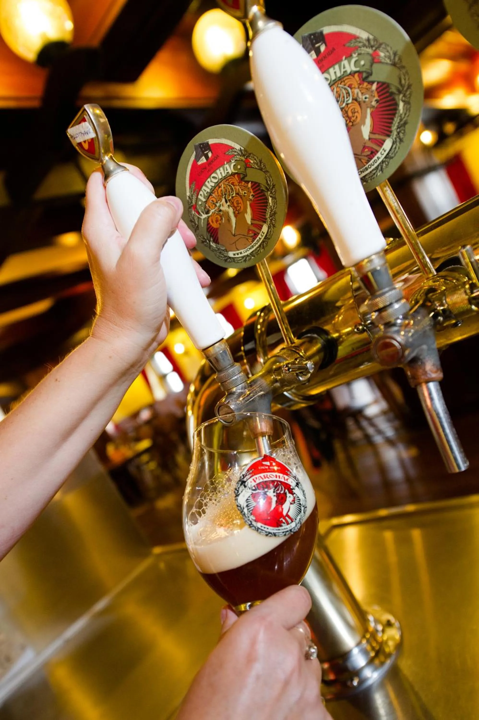 Restaurant/places to eat in Luční bouda