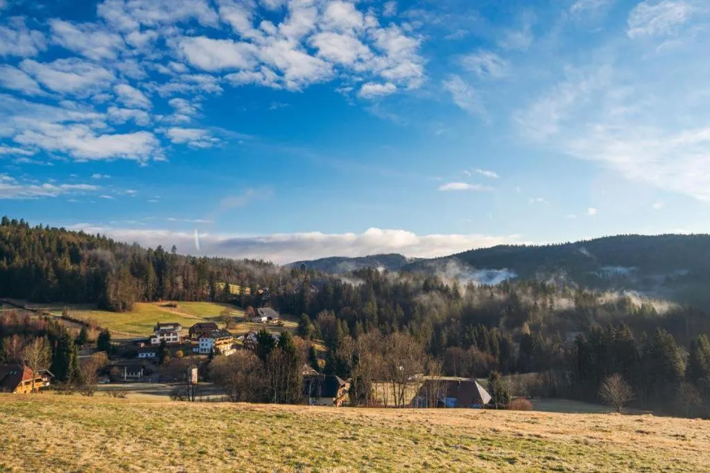 Natural landscape in Boutique Hotel & Apartments Pension Sternen