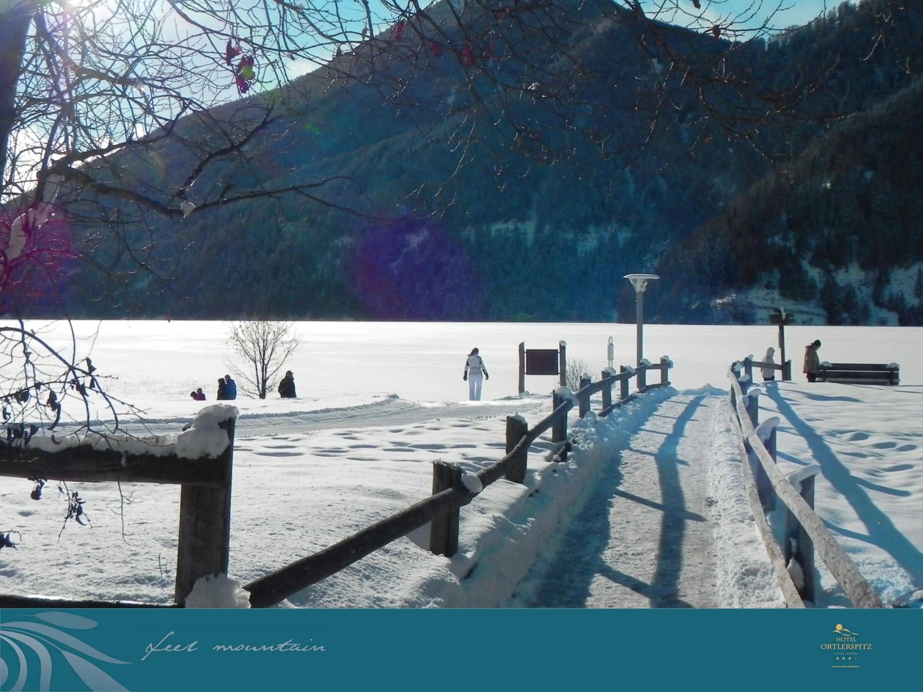 Hiking in Vital Hotel Ortlerspitz