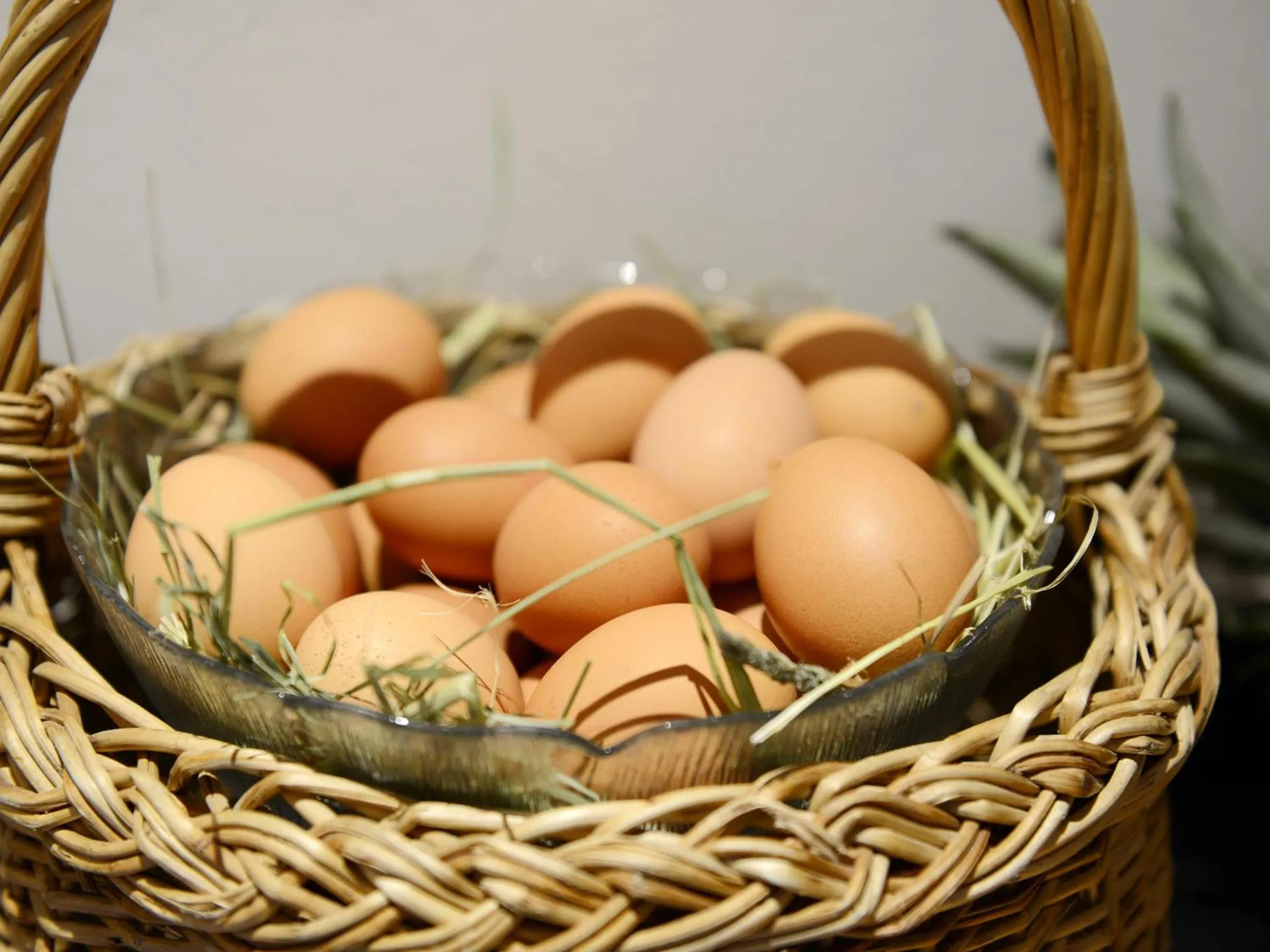 Restaurant/places to eat in Hotel Purvita by Oberlechner