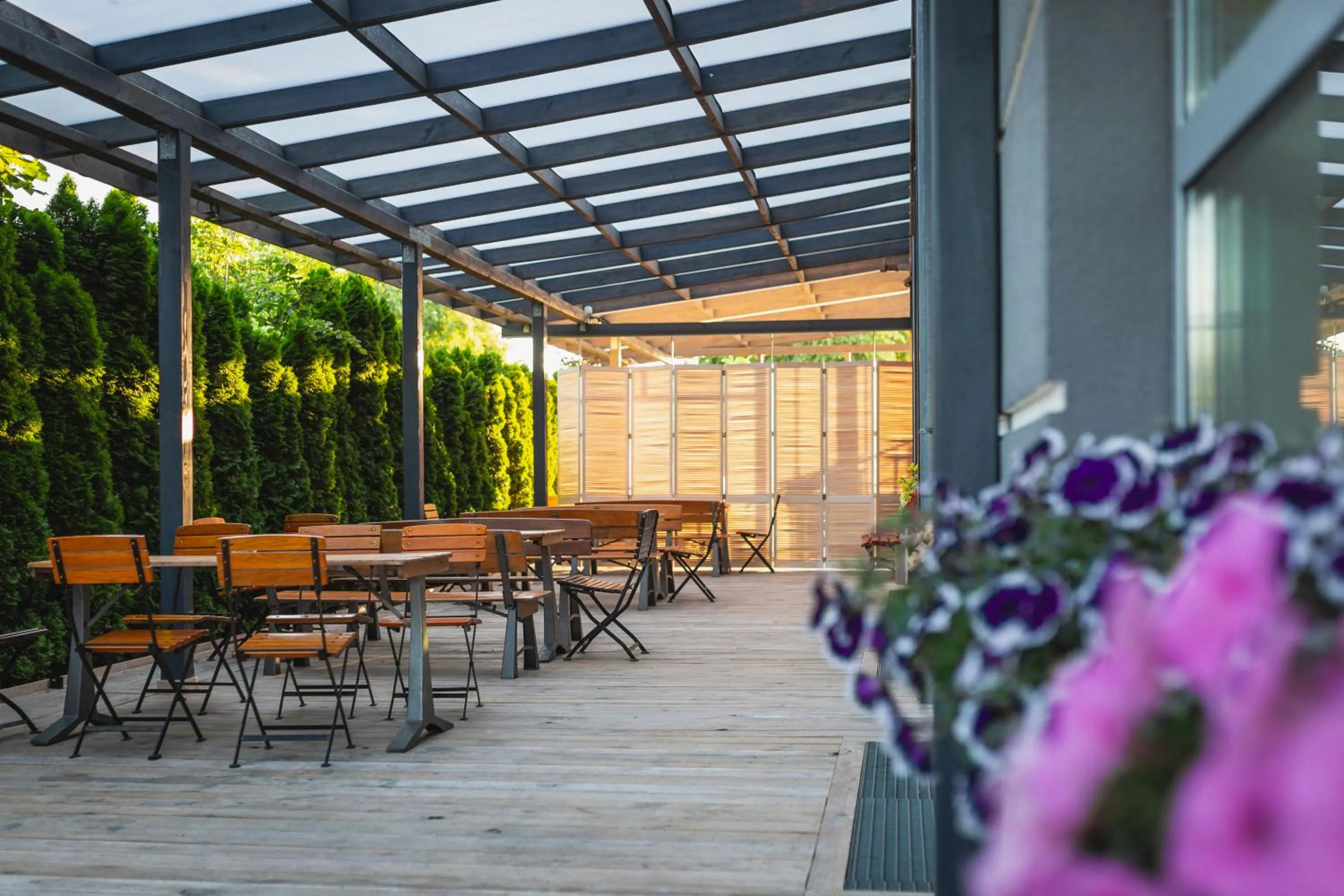 Patio in Hotel Pikul