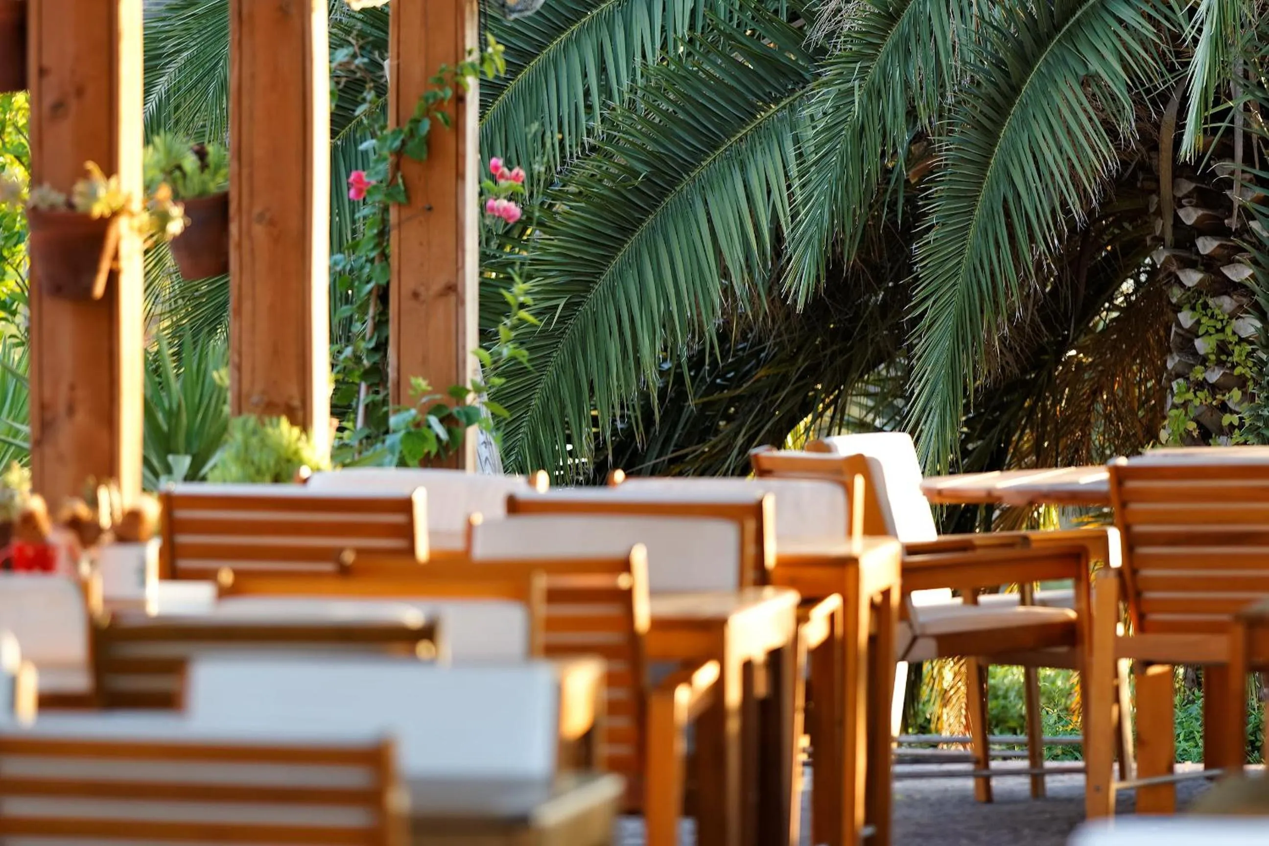 Balcony/Terrace in Vale do Gaio Hotel