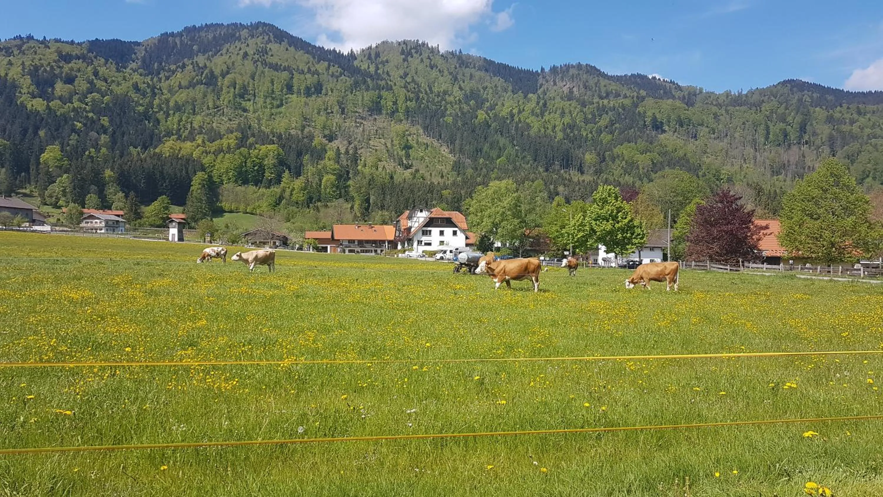 Natural landscape in s´Quartier am Schliersee