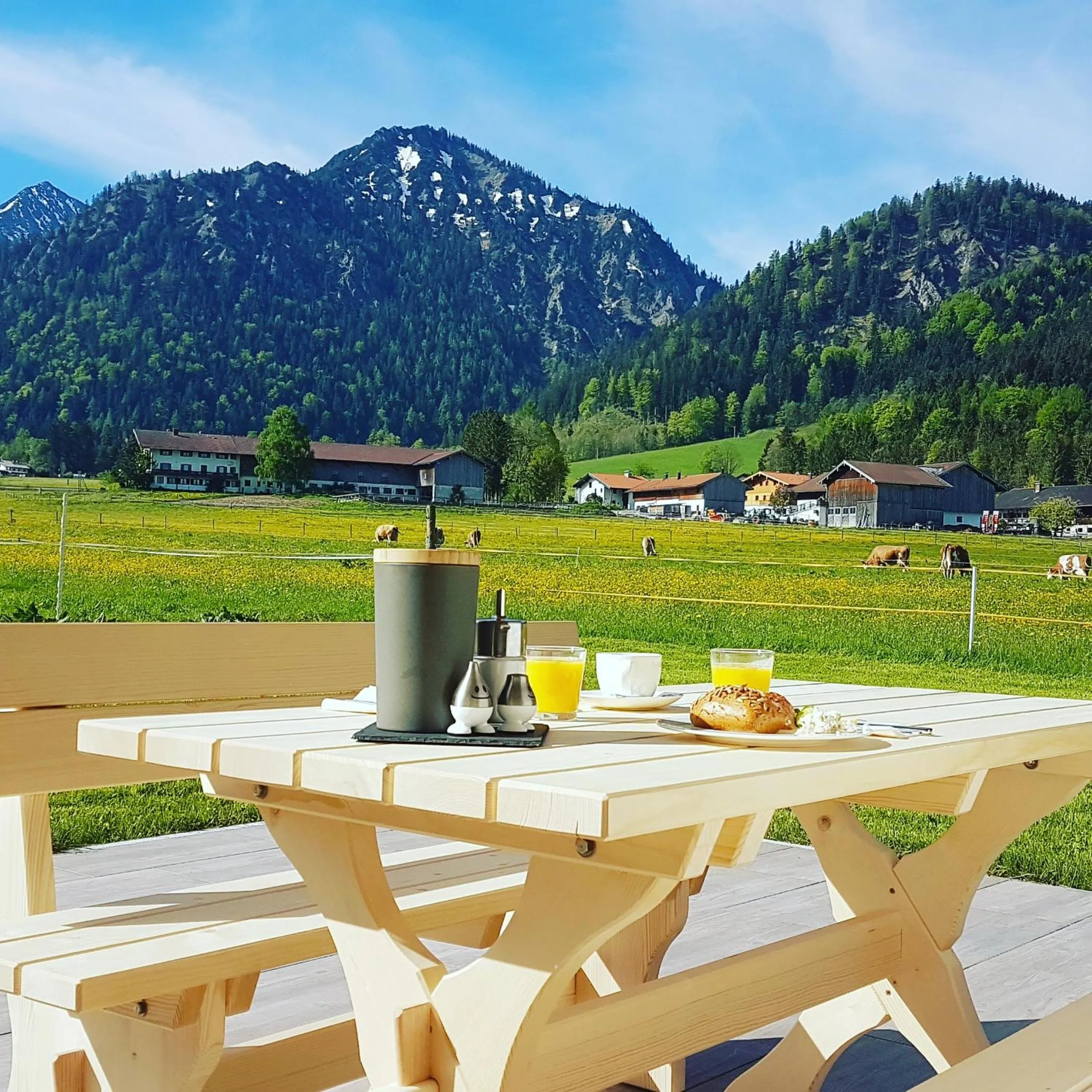 Mountain view in s´Quartier am Schliersee