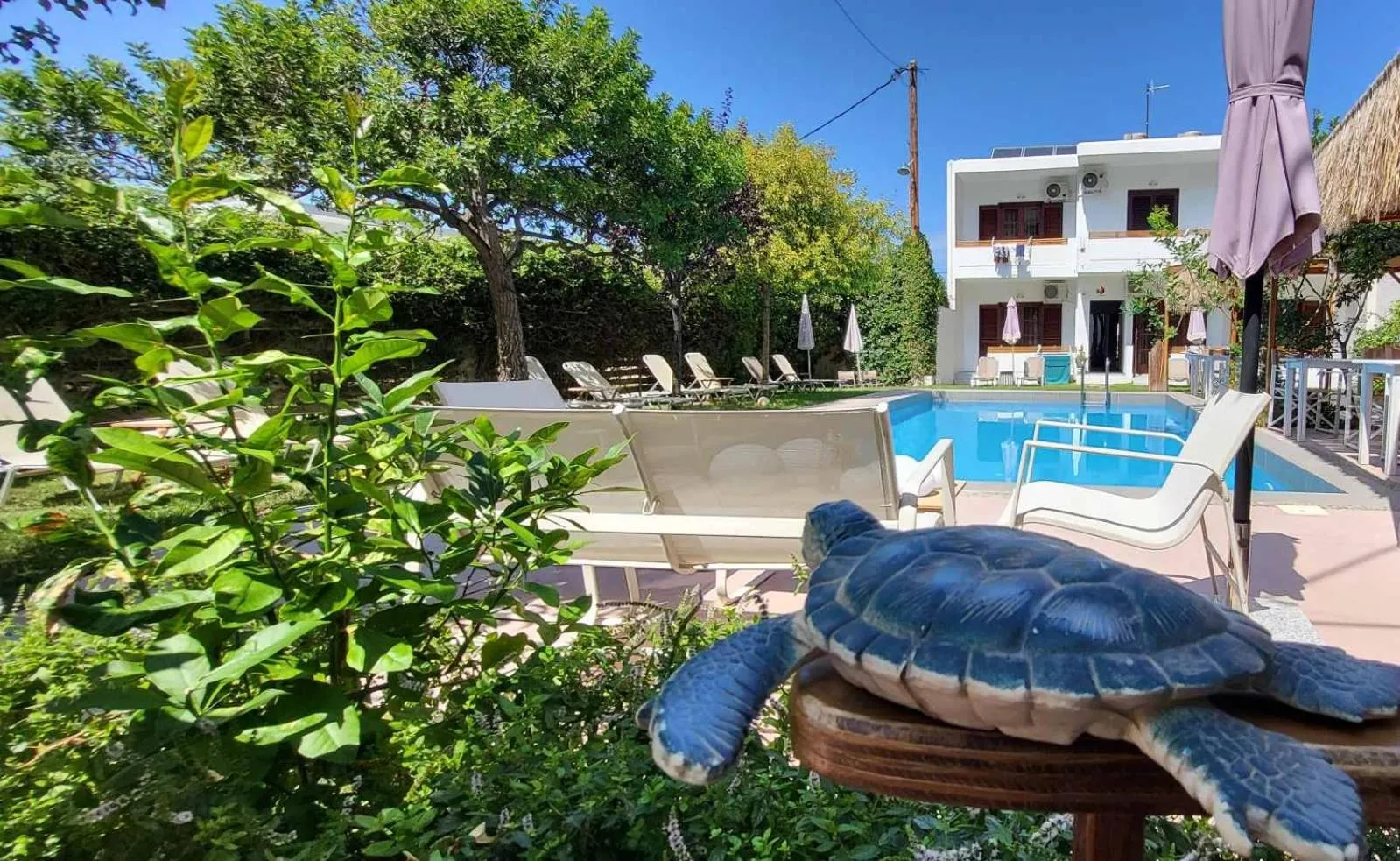 View (from property/room) in Tree of Life Art Hotel