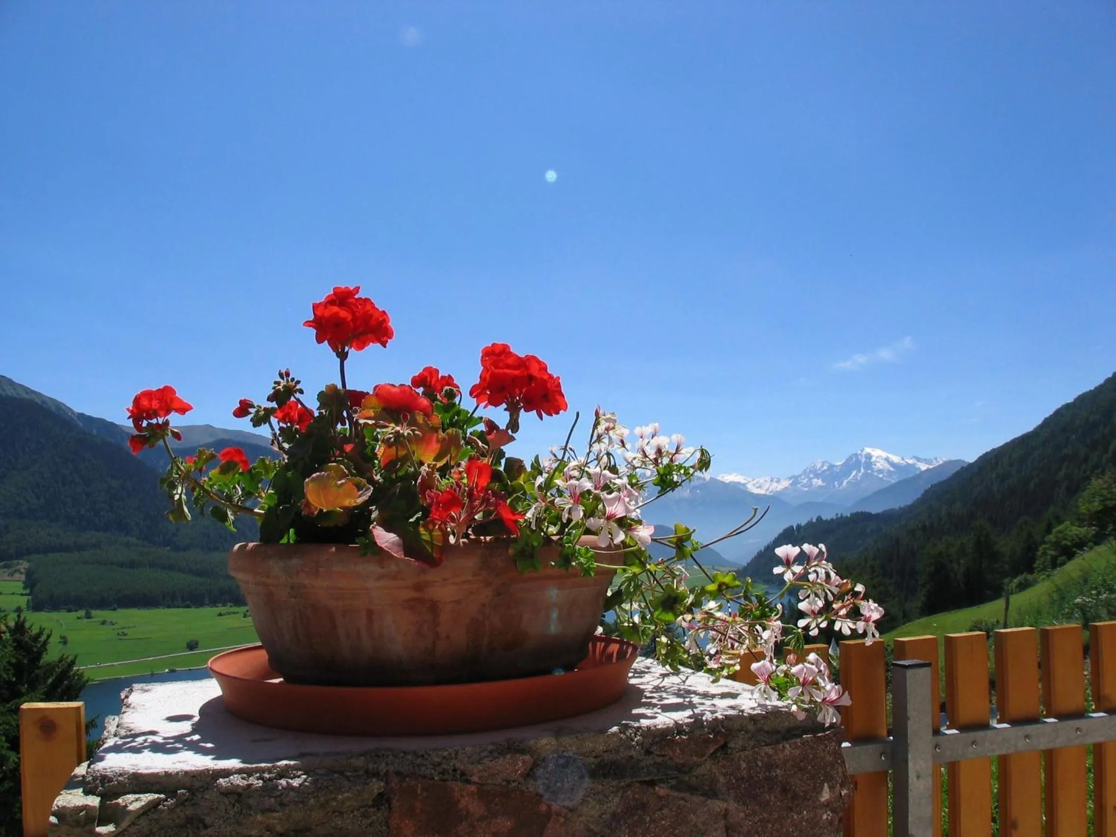 Appartement Sunnleitn