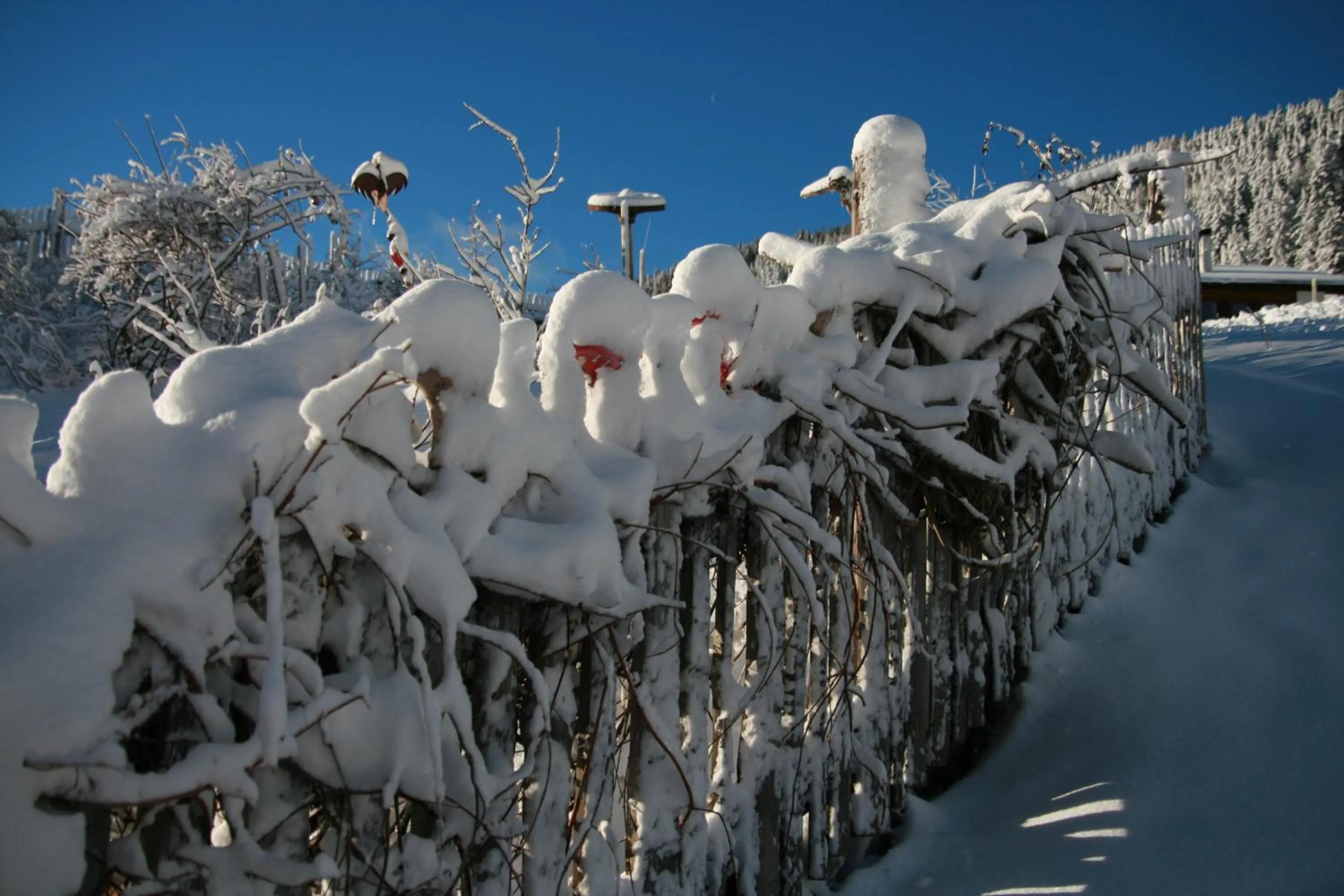 Appartement Sunnleitn