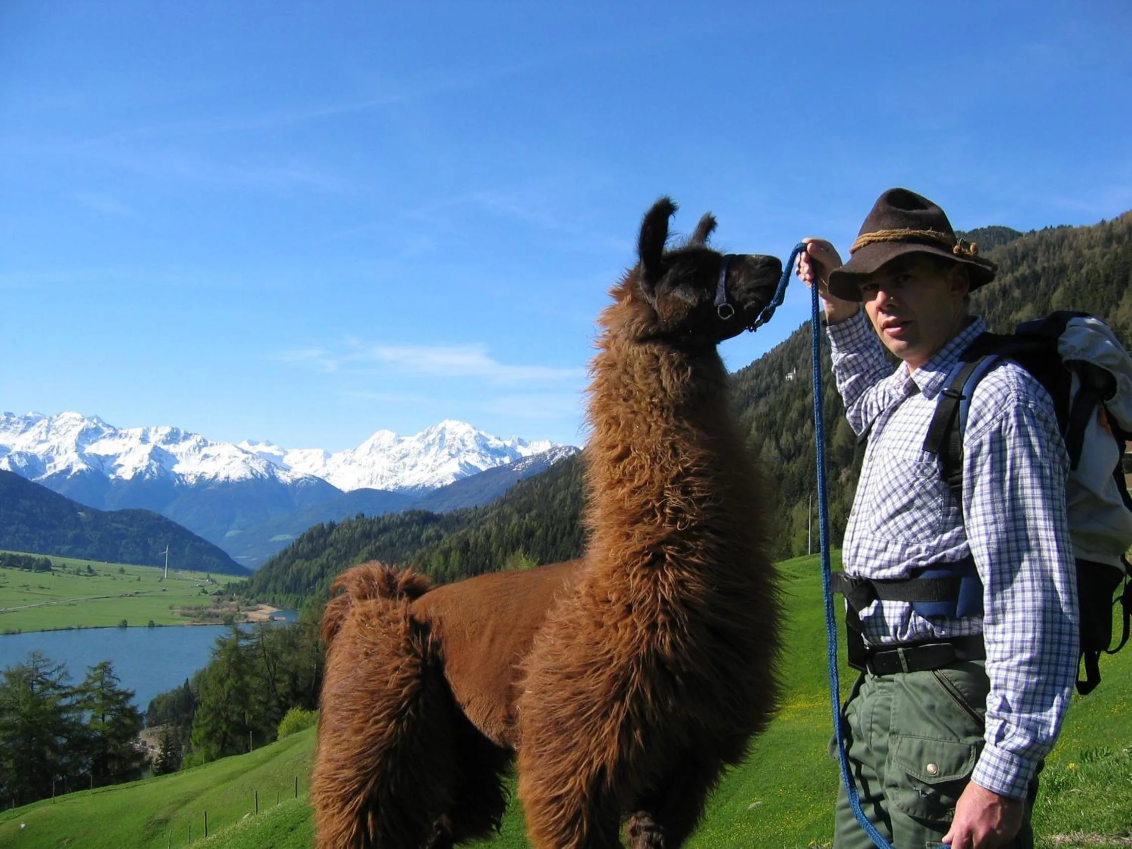 Appartement Sunnleitn