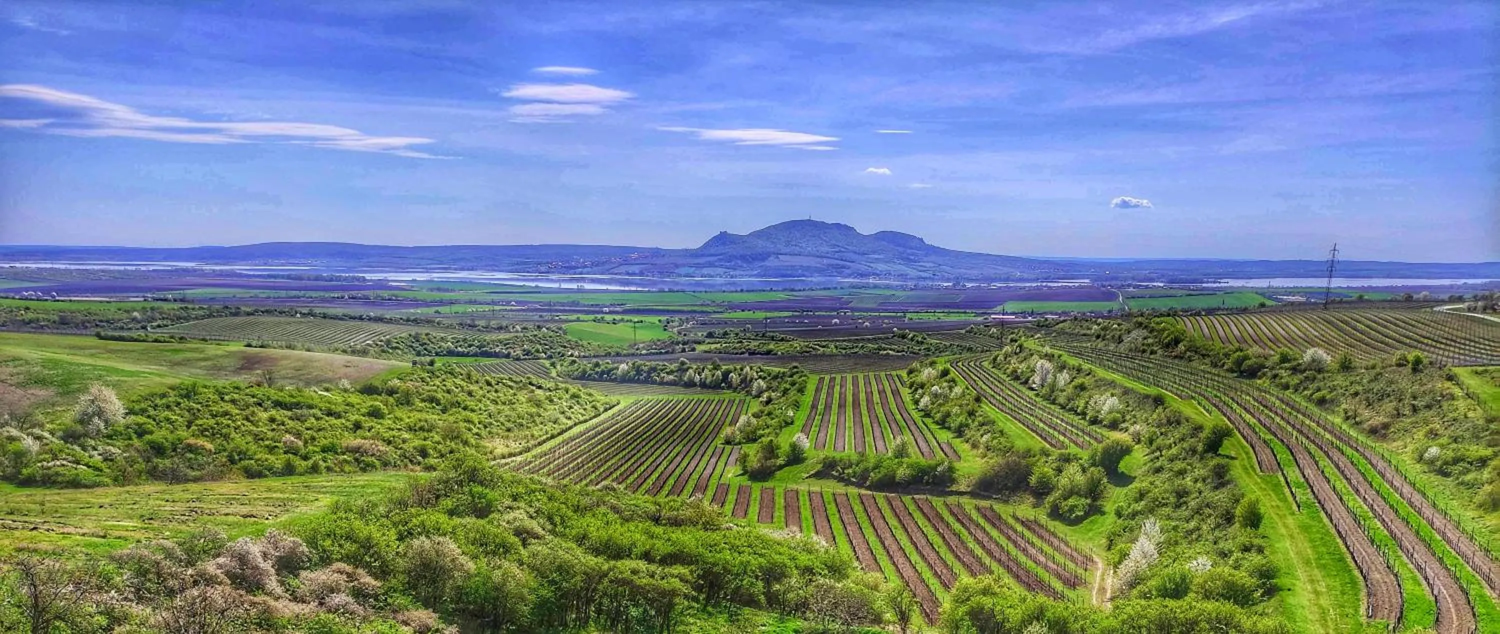 Nearby landmark in Apartmány s klimatizací - Penzion U Kudláčků Pouzdřany