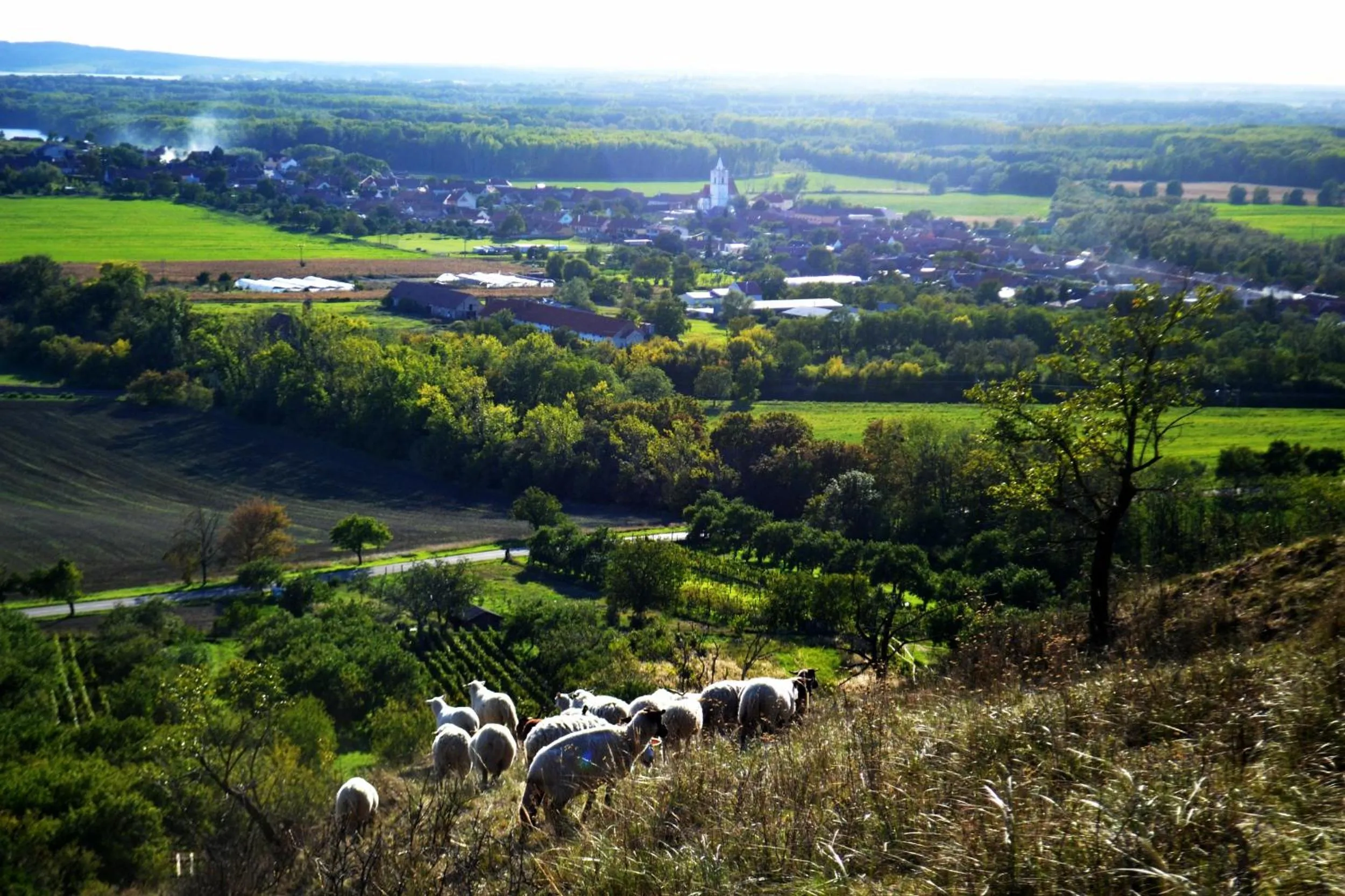 Off site in Apartmány s klimatizací - Penzion U Kudláčků Pouzdřany