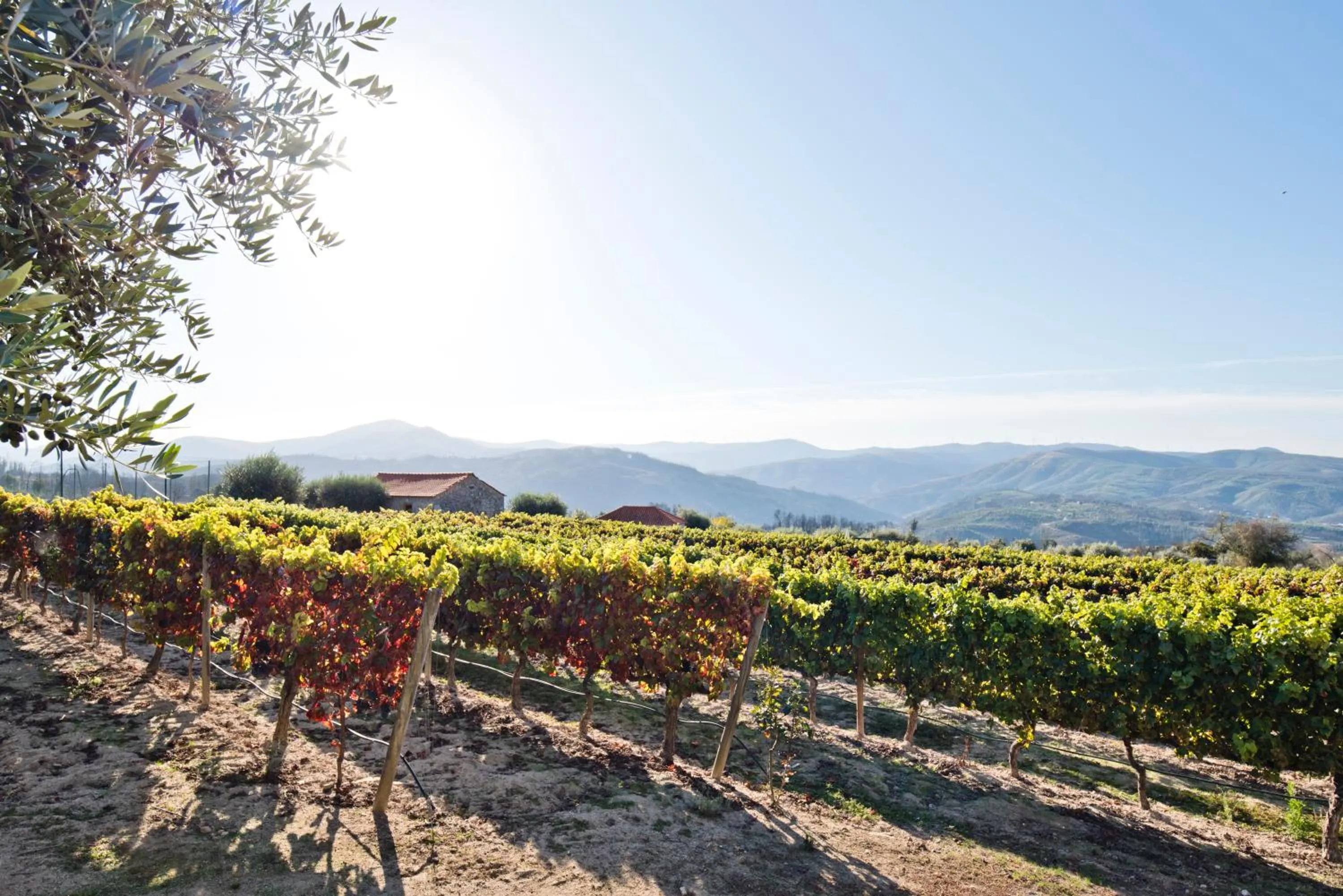 View (from property/room) in Lam Hotel Convento do Desagravo