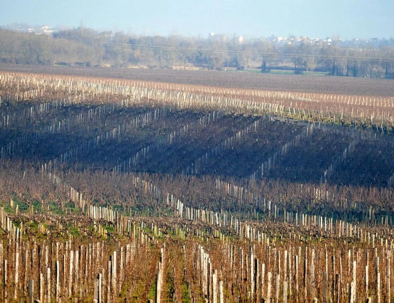 Natural landscape in Hôtel de Margaux