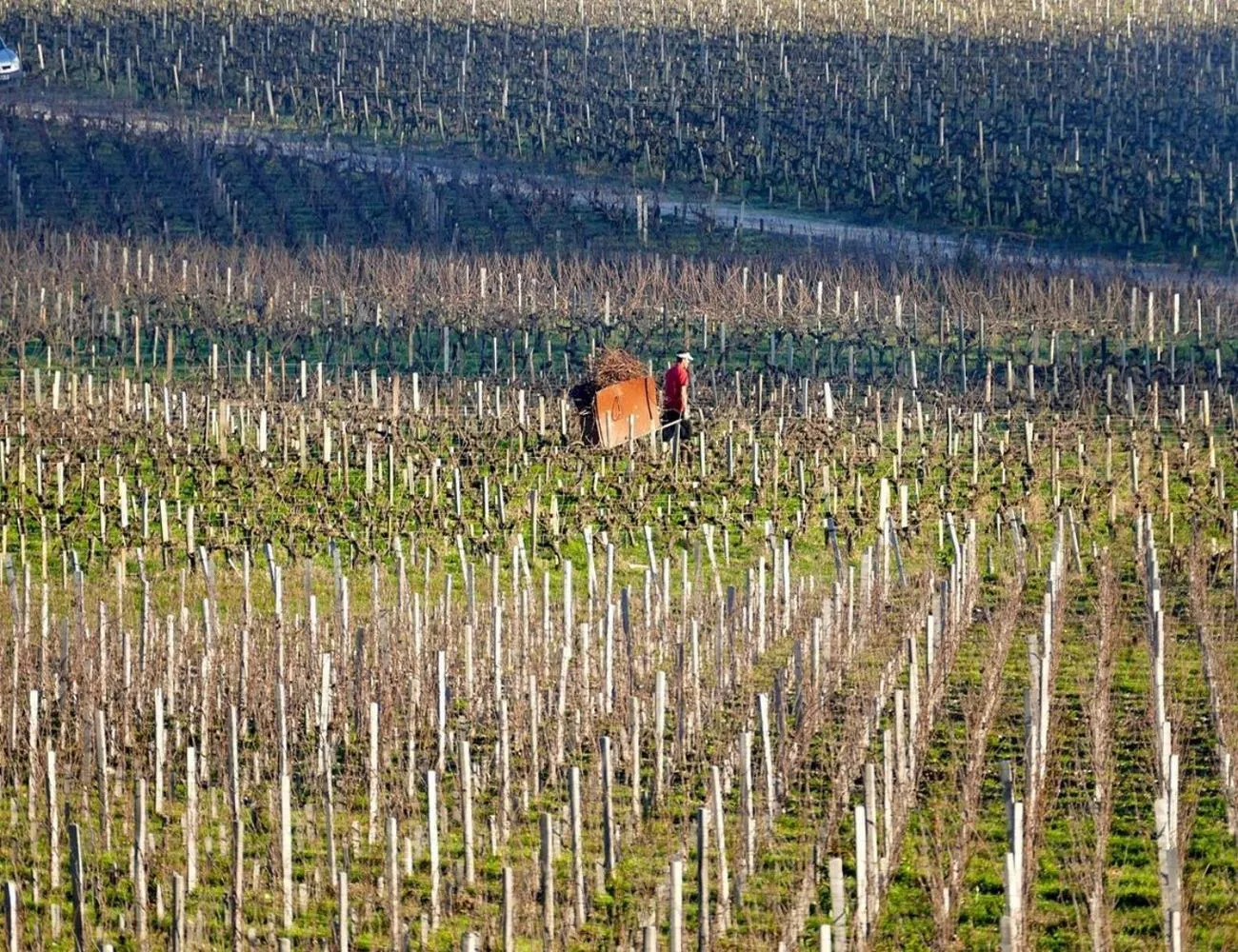 Natural landscape in Hôtel de Margaux