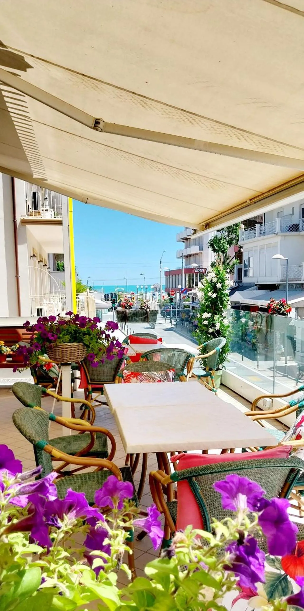 Balcony/Terrace in Hotel Brotas