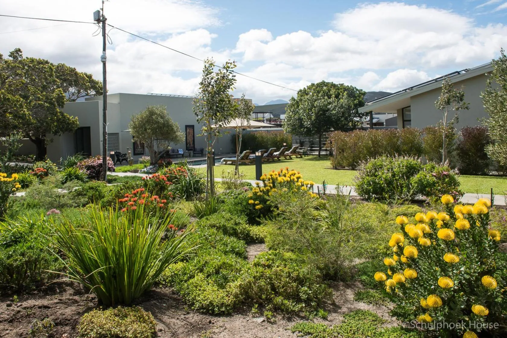 Garden in Schulphoek Seafront House