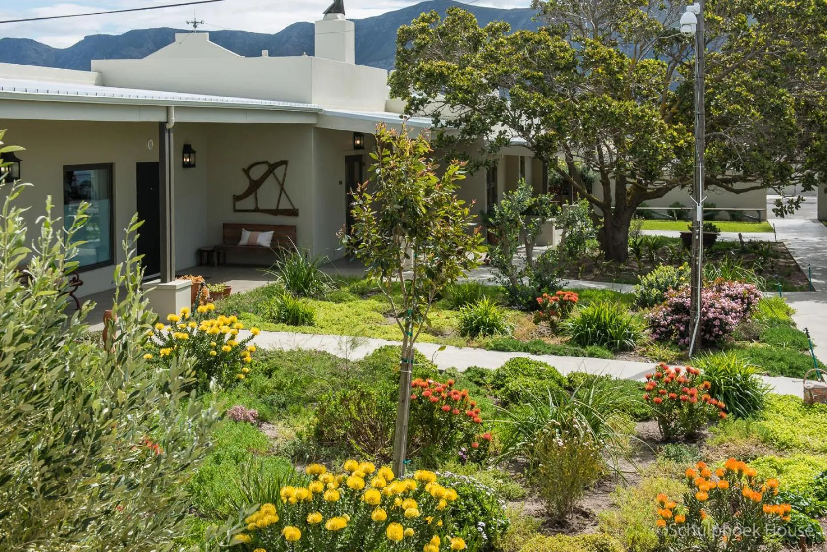 Garden in Schulphoek Seafront House