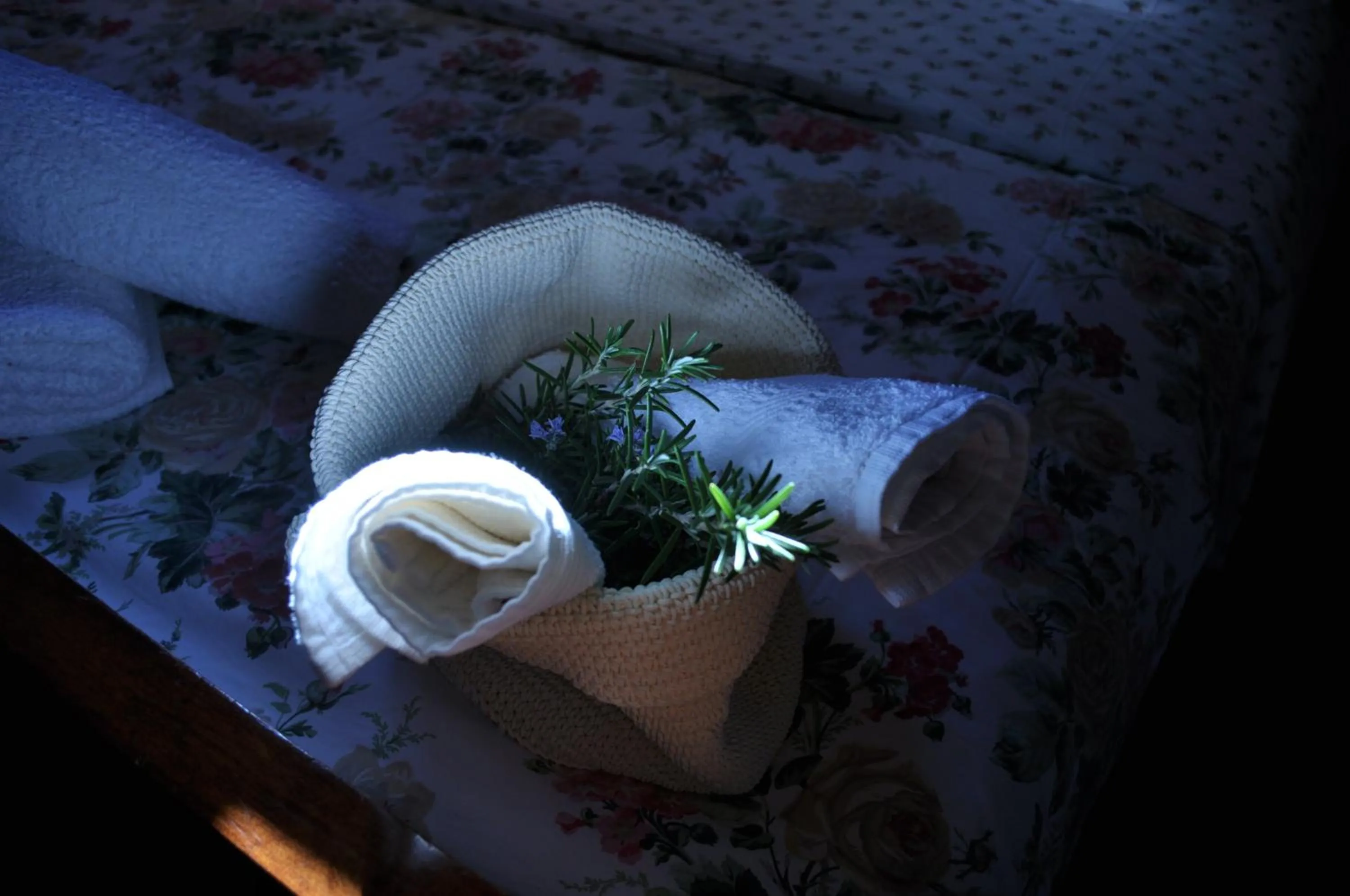 Decorative detail in Villa Lav