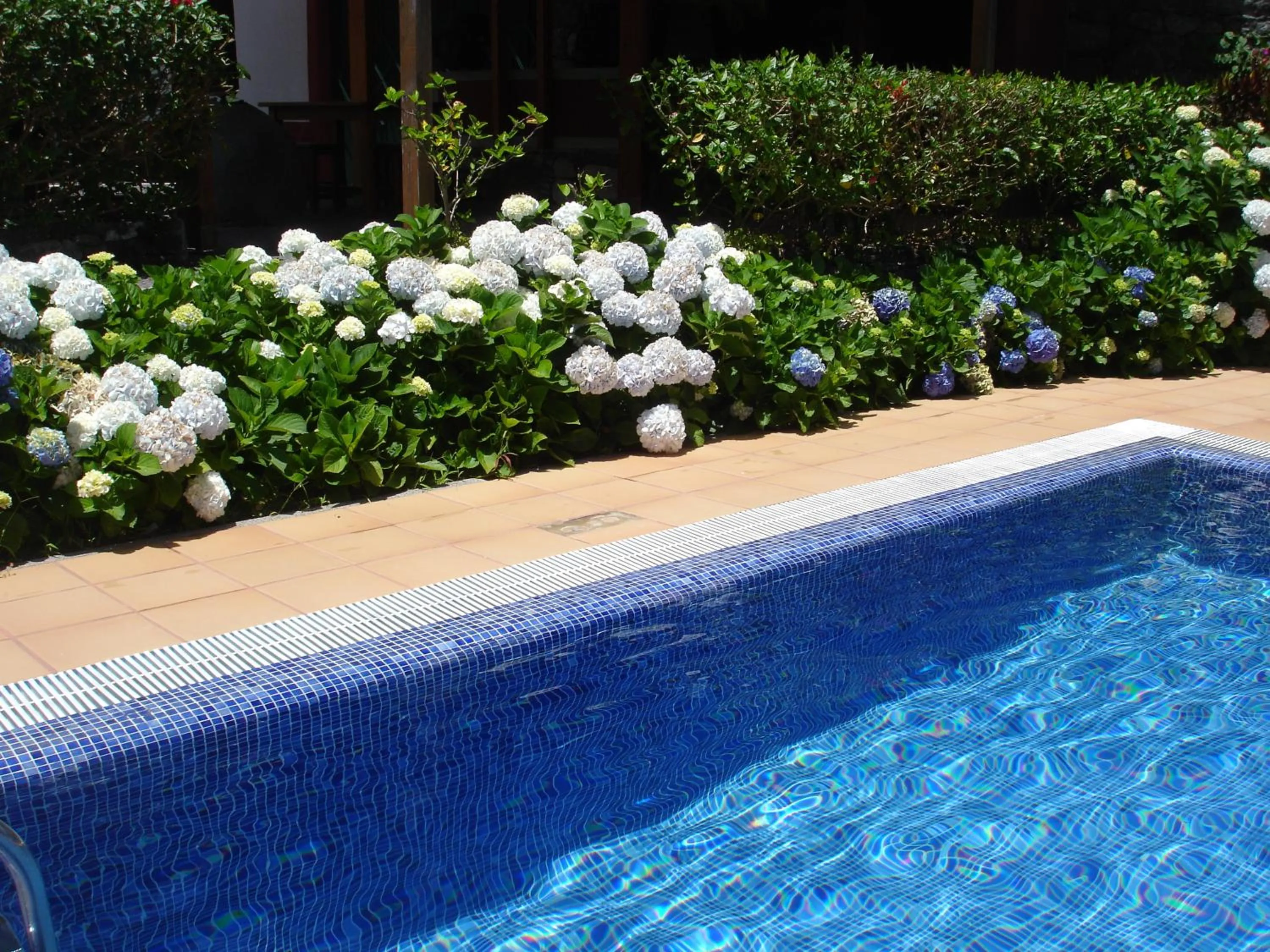 Garden in Casa da Capelinha