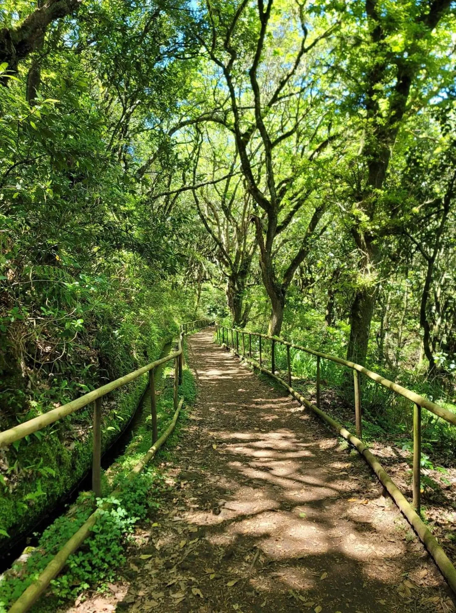 Natural landscape in Casa da Capelinha