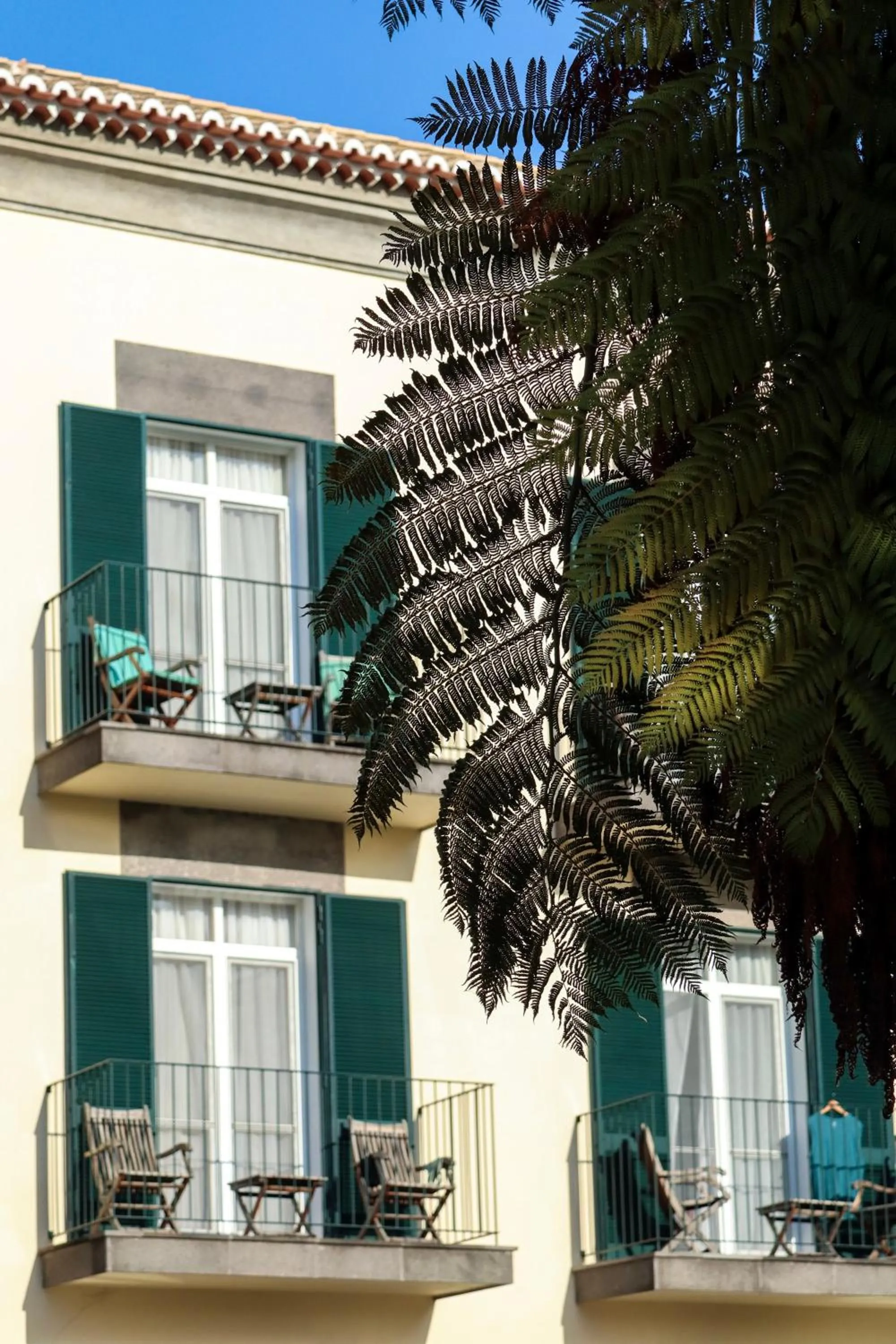 VIP in Quinta da Bela Vista