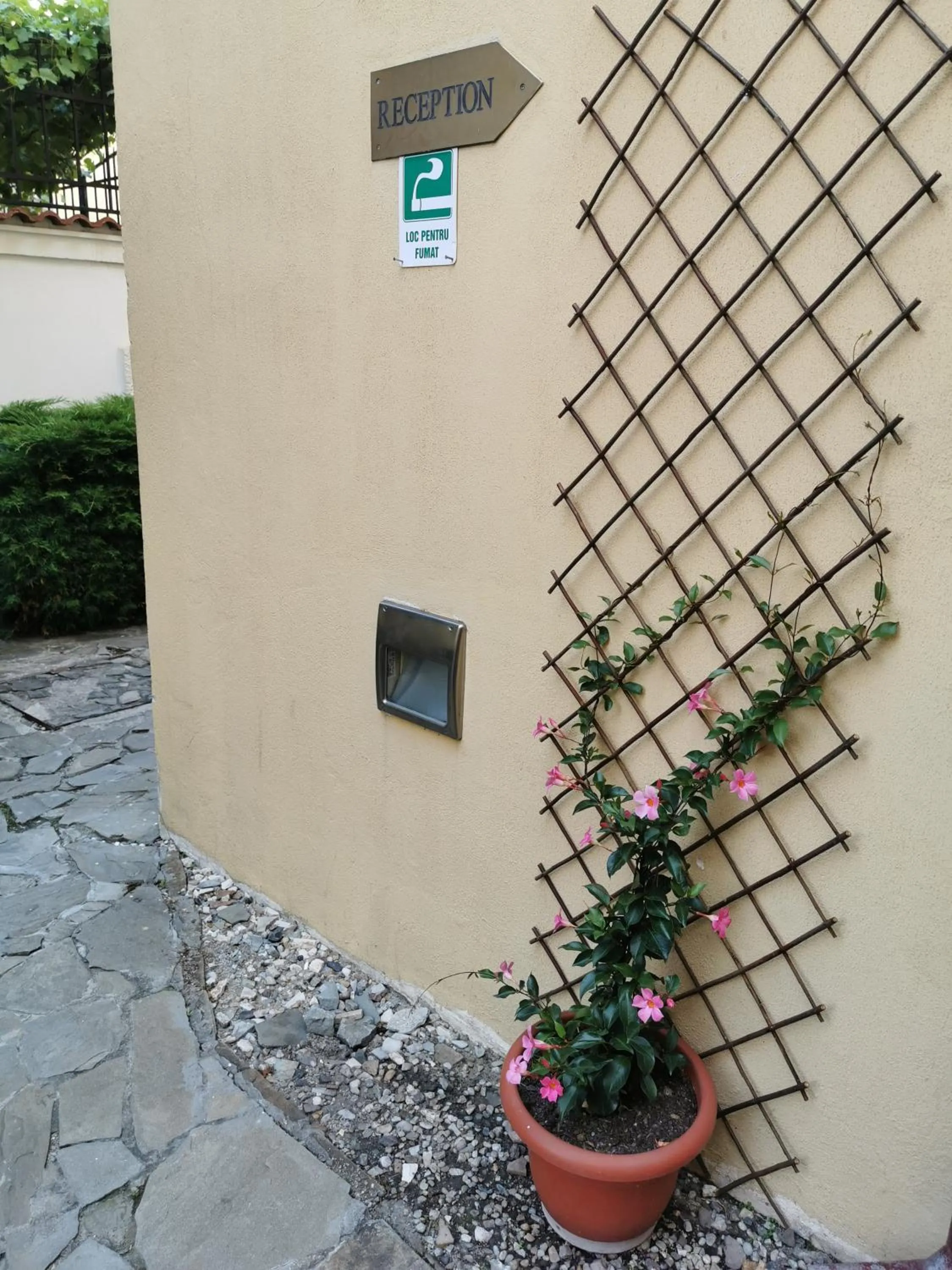 Garden in Prince Residence Apartments