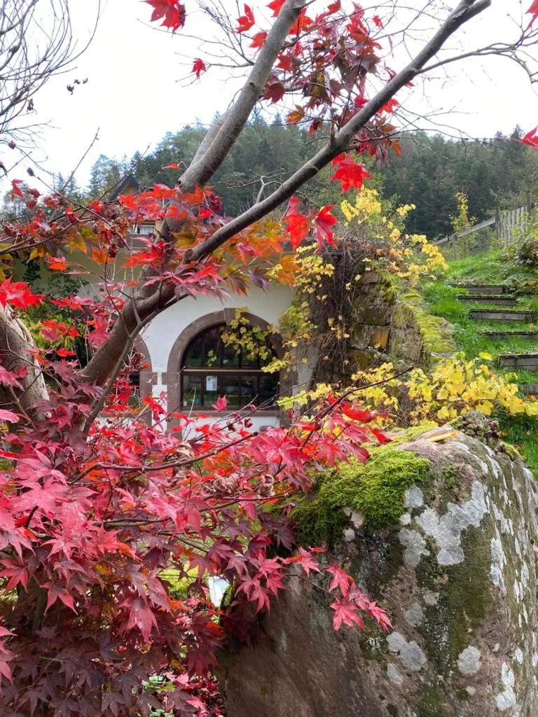L'Atelier de Gisèle