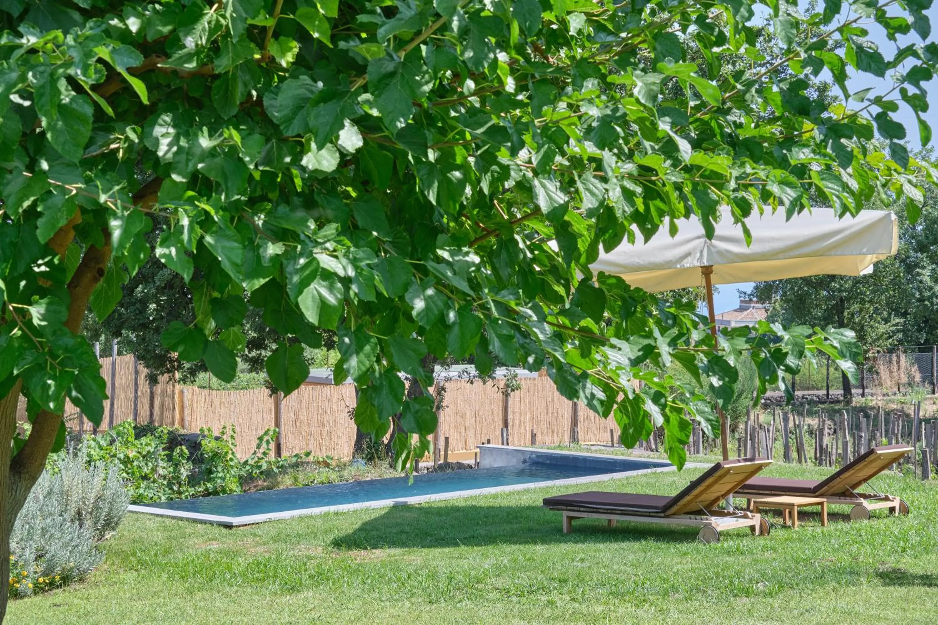 Swimming pool in Monaci delle Terre Nere