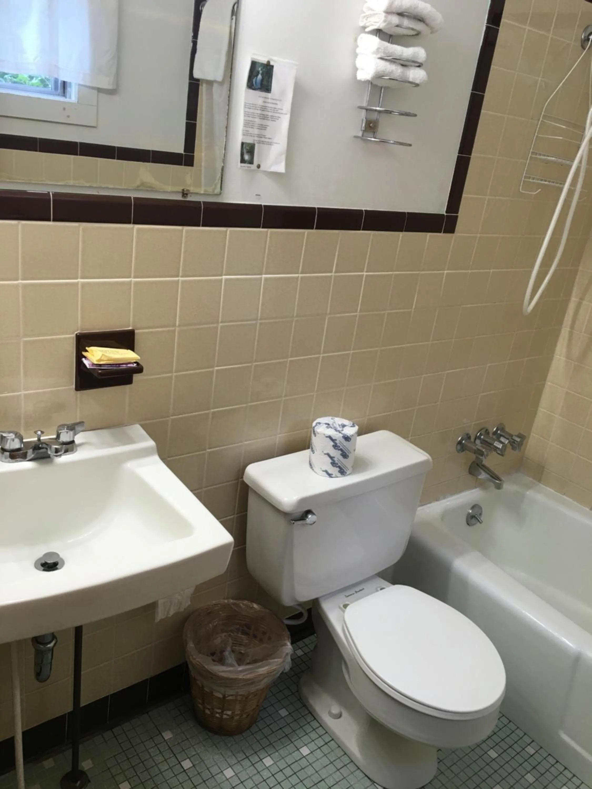 Toilet in Doray Motel Lake George