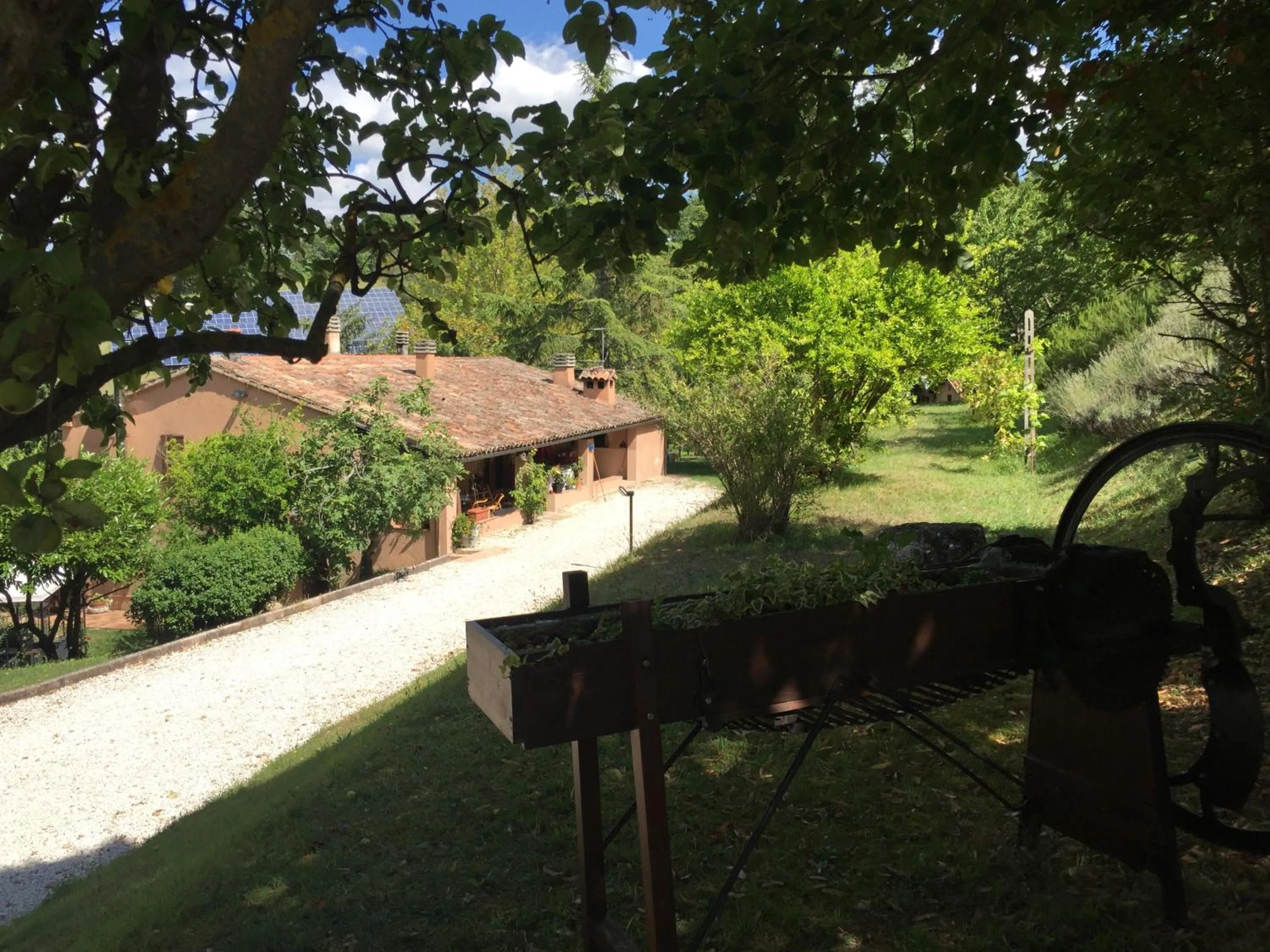 Garden view in Agriturismo Gioie di Campagna