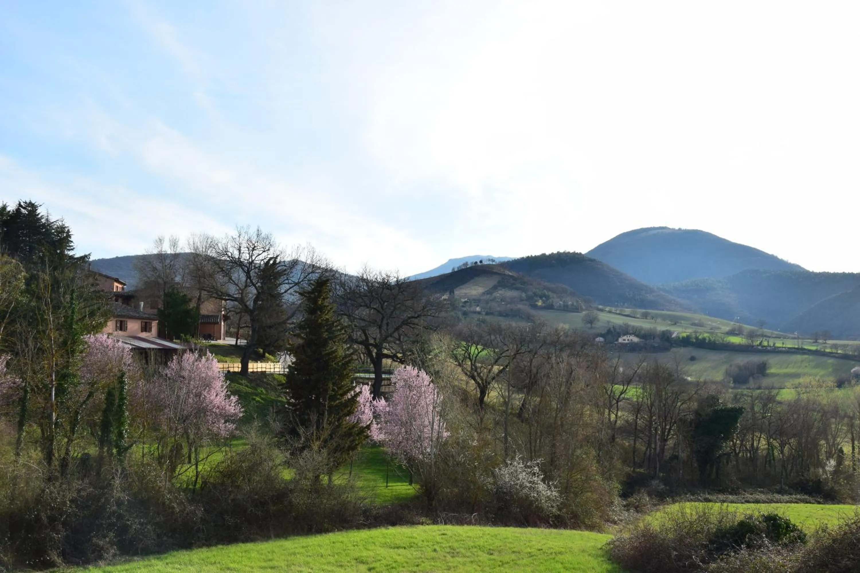 Mountain view in Agriturismo Gioie di Campagna