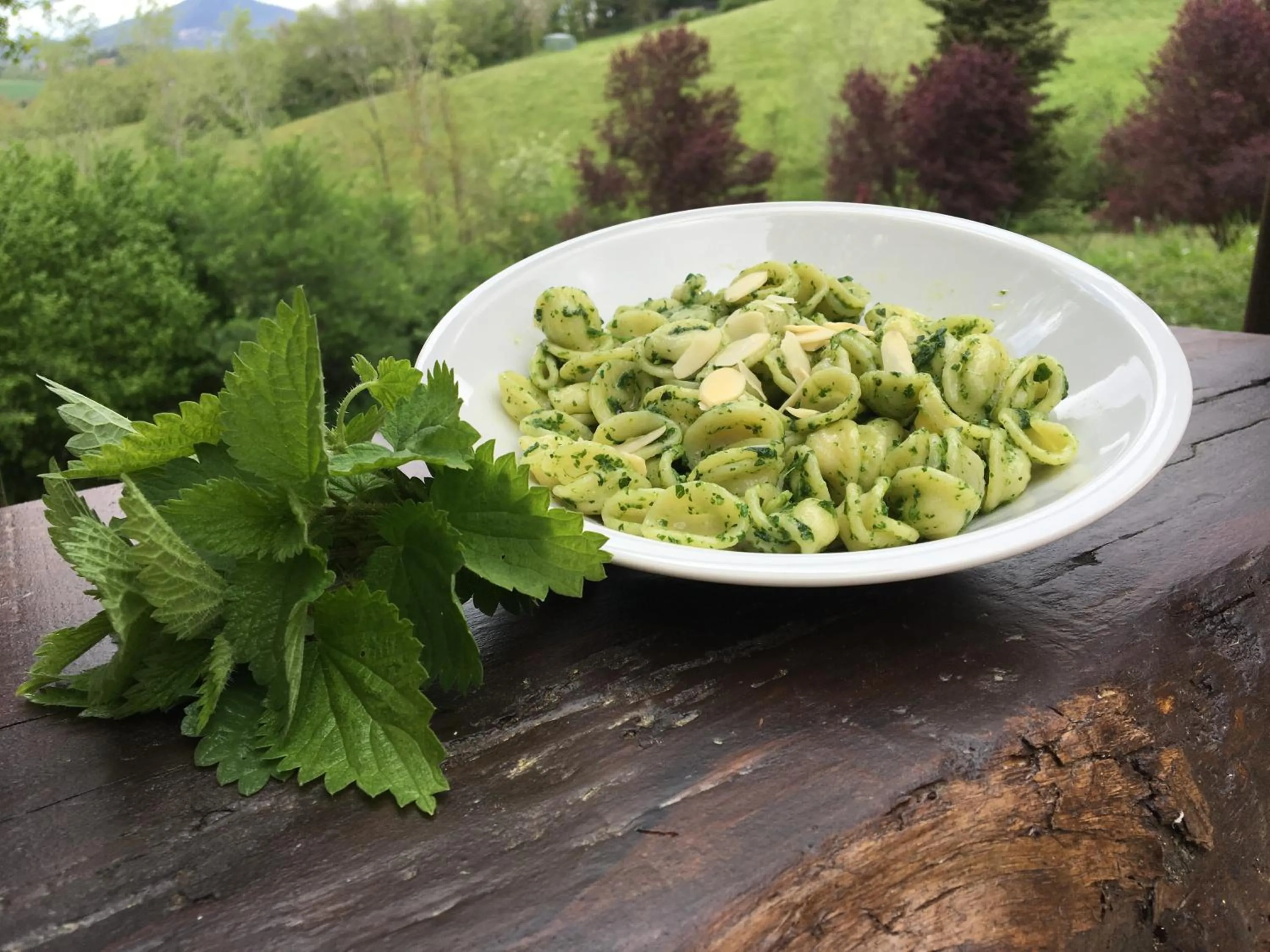 Food and drinks in Agriturismo Gioie di Campagna