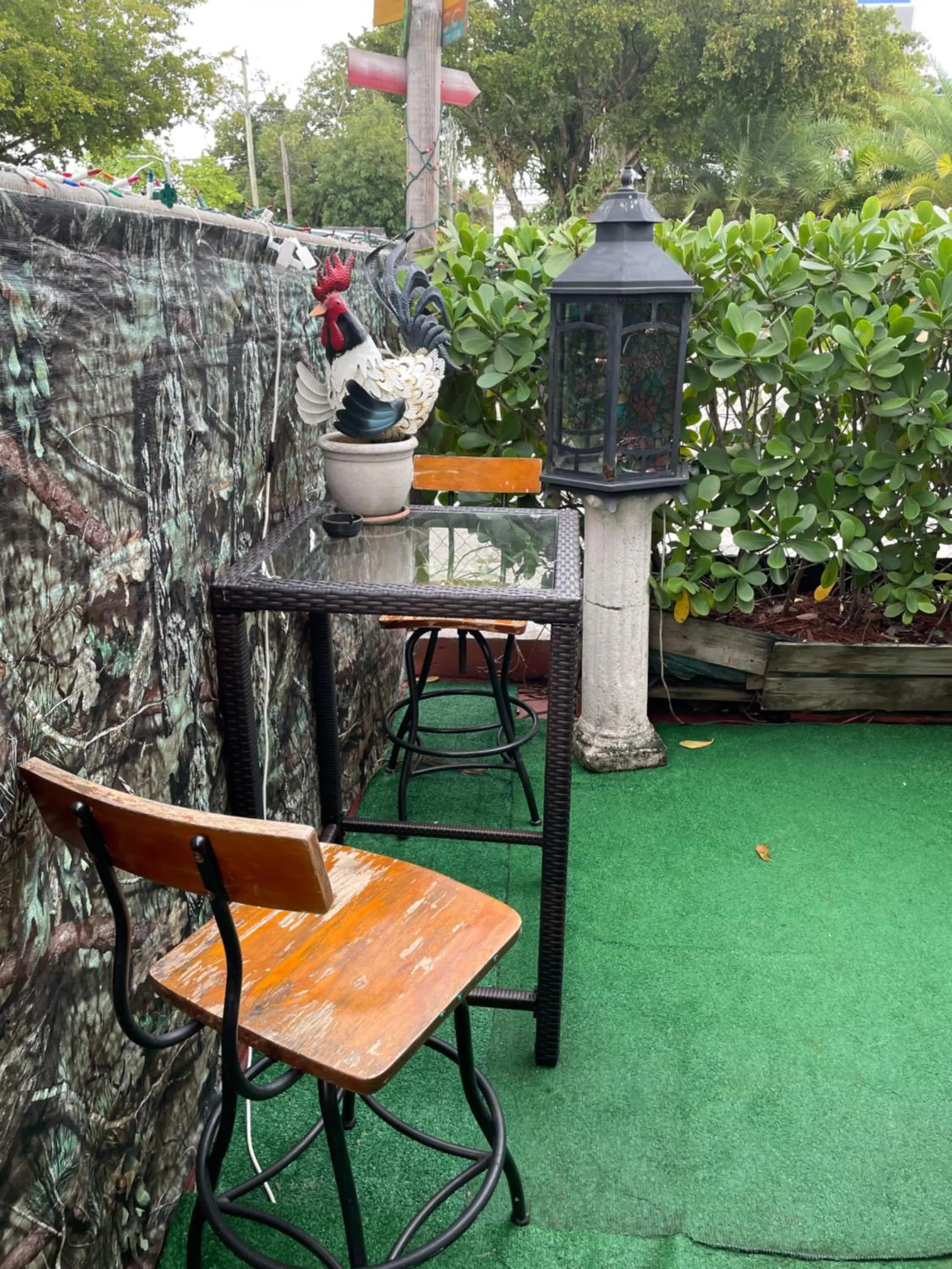 Garden in Habitación Céntrica calle 8 Miami