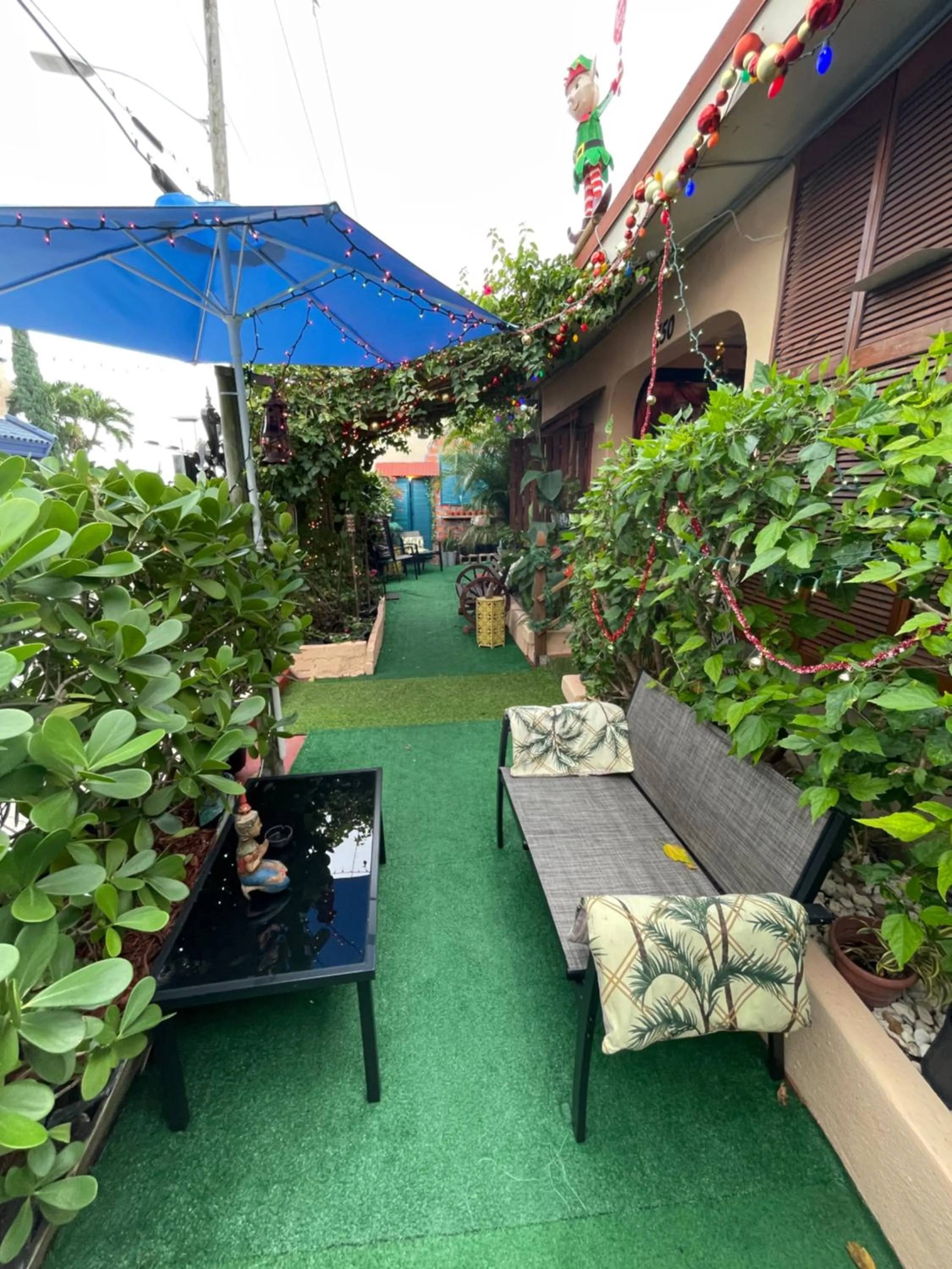 Garden view in Habitación Céntrica calle 8 Miami