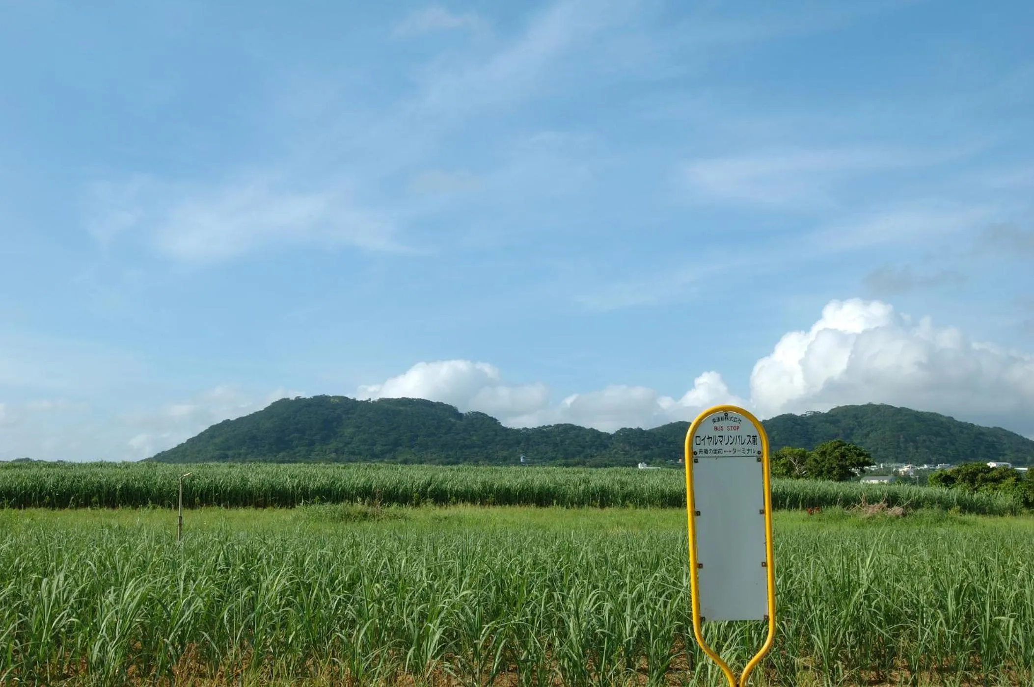 Day in Hotel Royal Marine Palace Ishigakijima