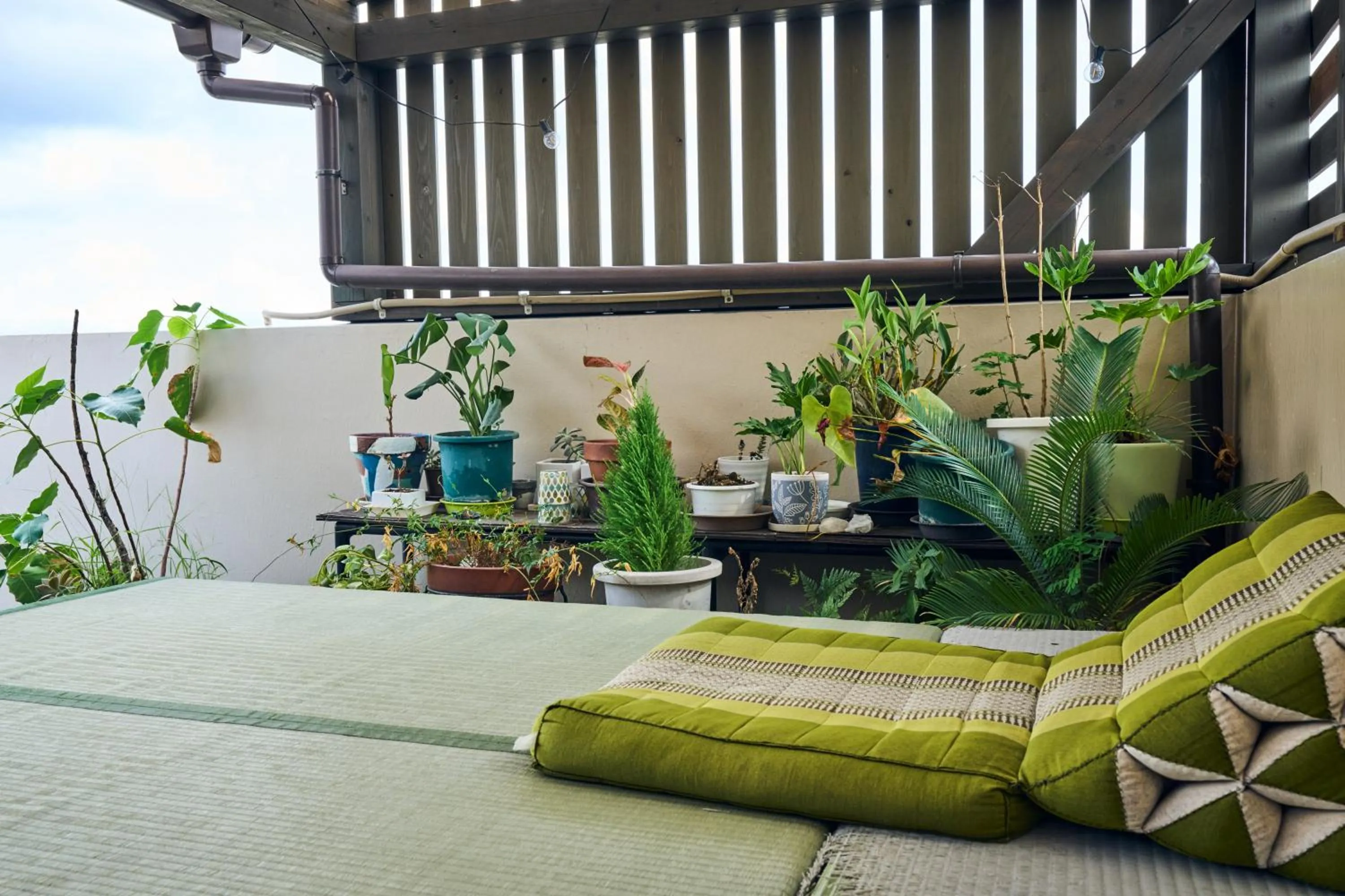 Balcony/Terrace in Green Guesthouse