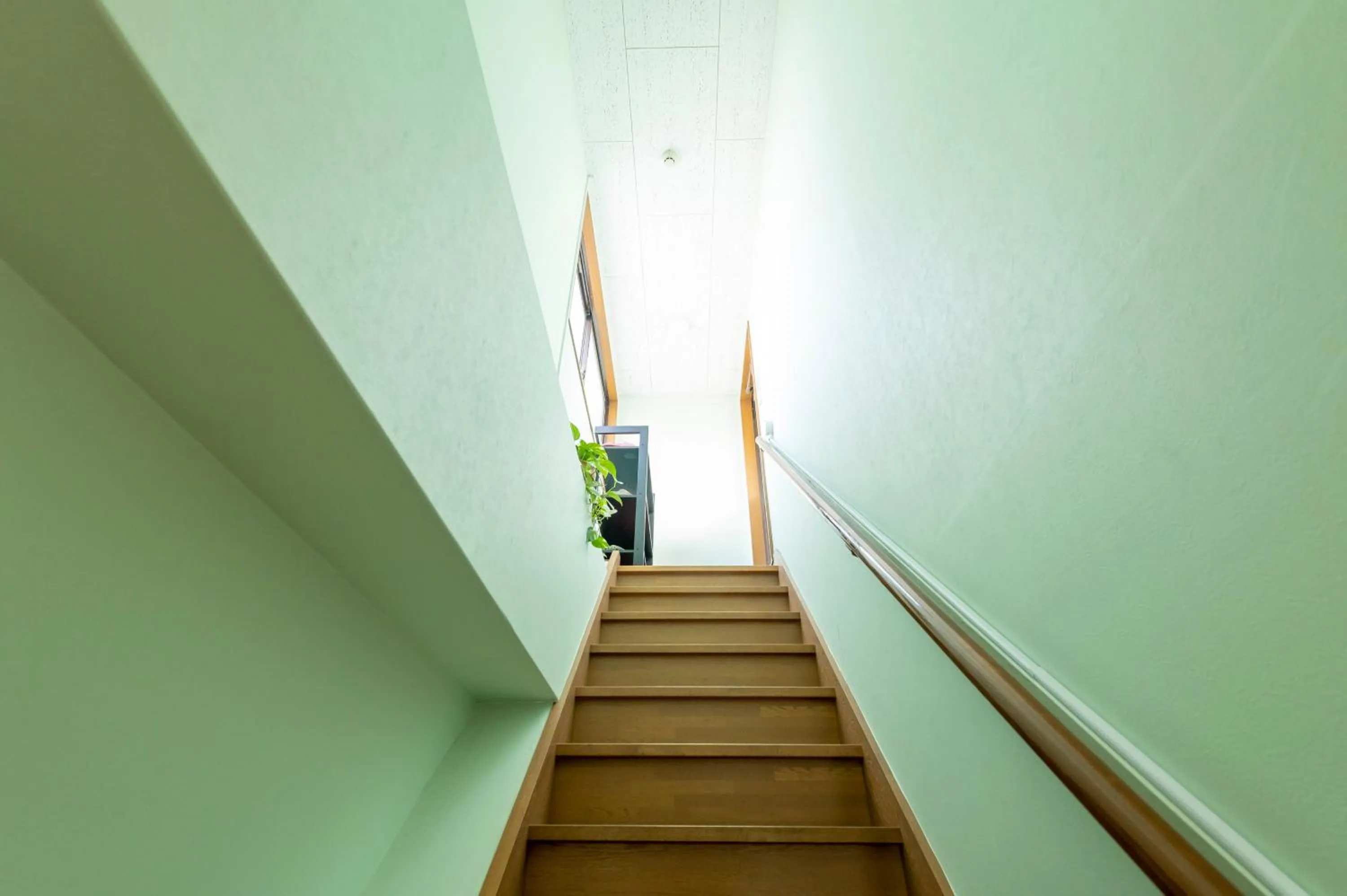 Area and facilities in Green Guesthouse