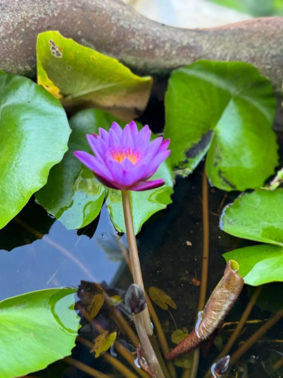 Natural landscape in Arco Iris Boutique Hotel & Restaurant