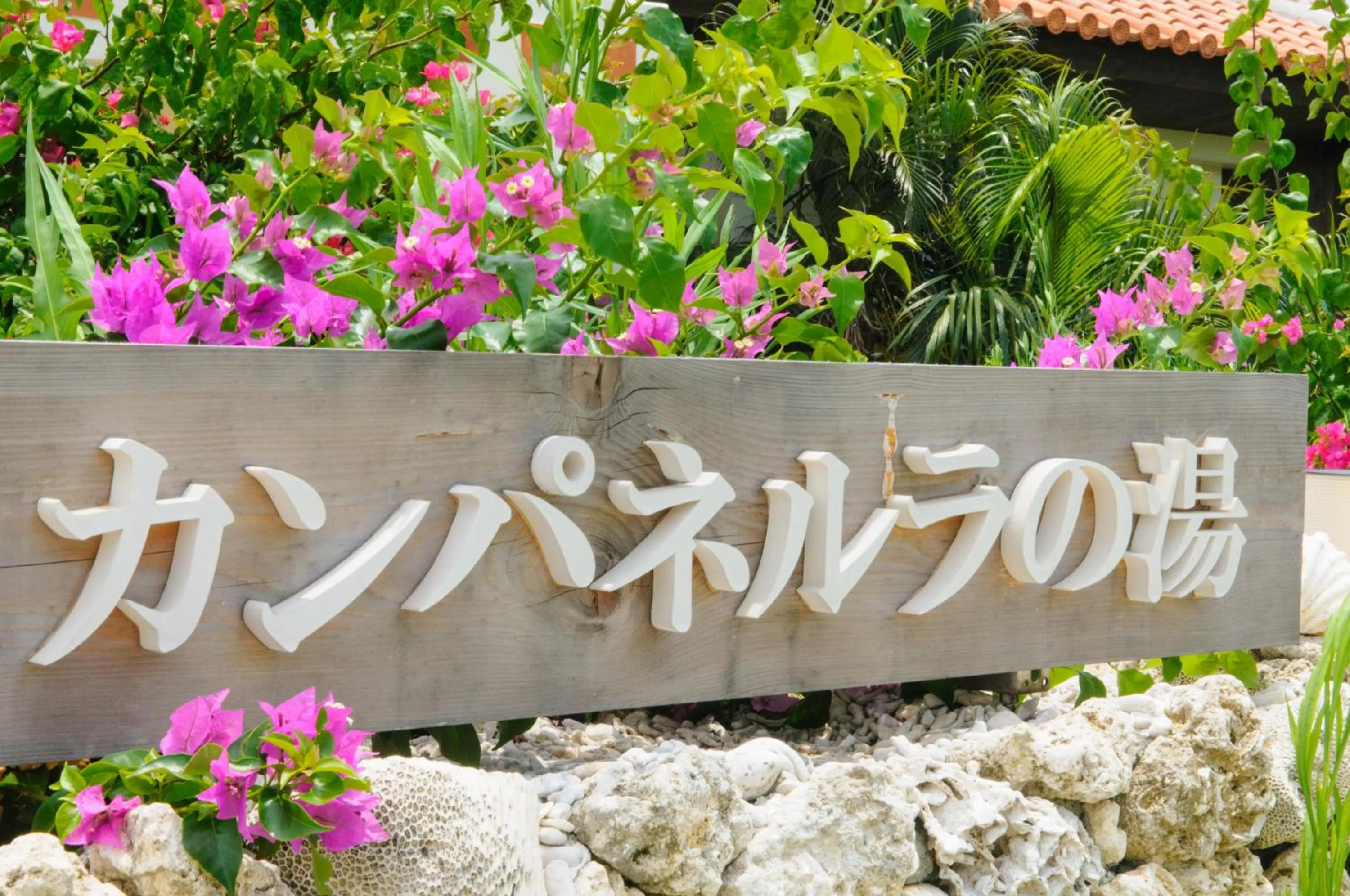 Hot Spring Bath in Hotel La Teada Iriomote