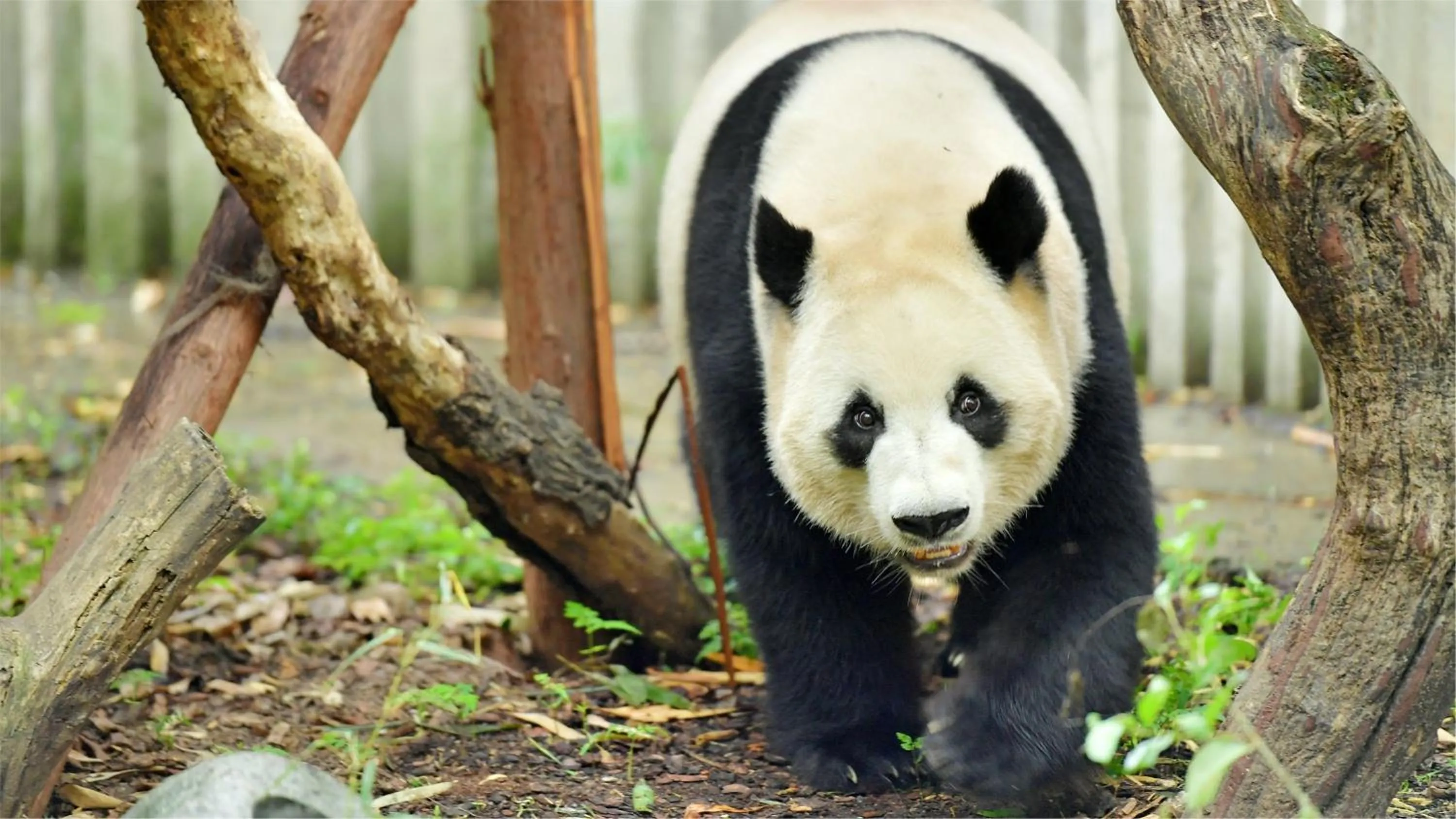 Nearby landmark in Holiday Inn Chengdu Oriental Plaza