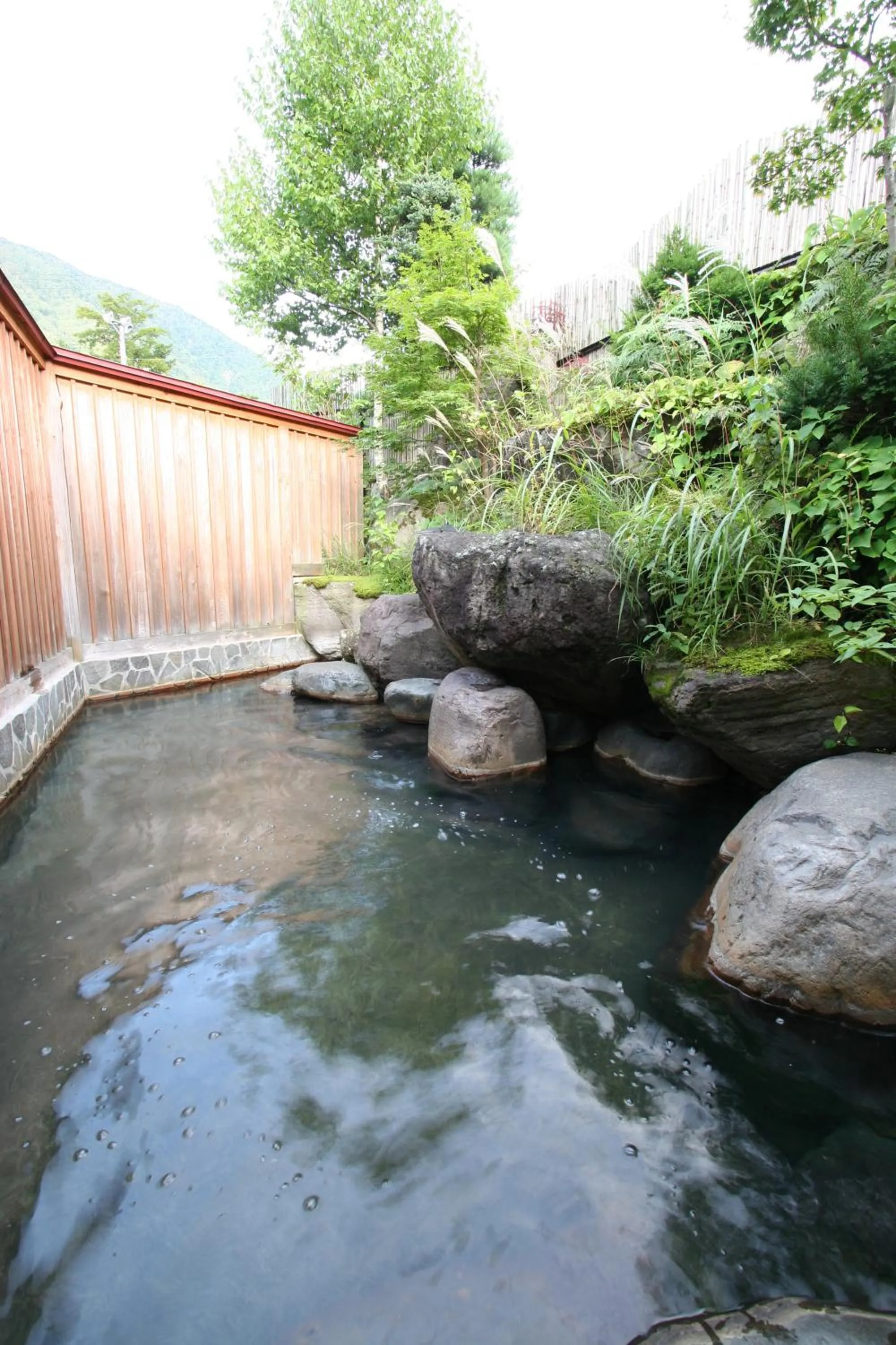 Hot Spring Bath in Nakamurakan