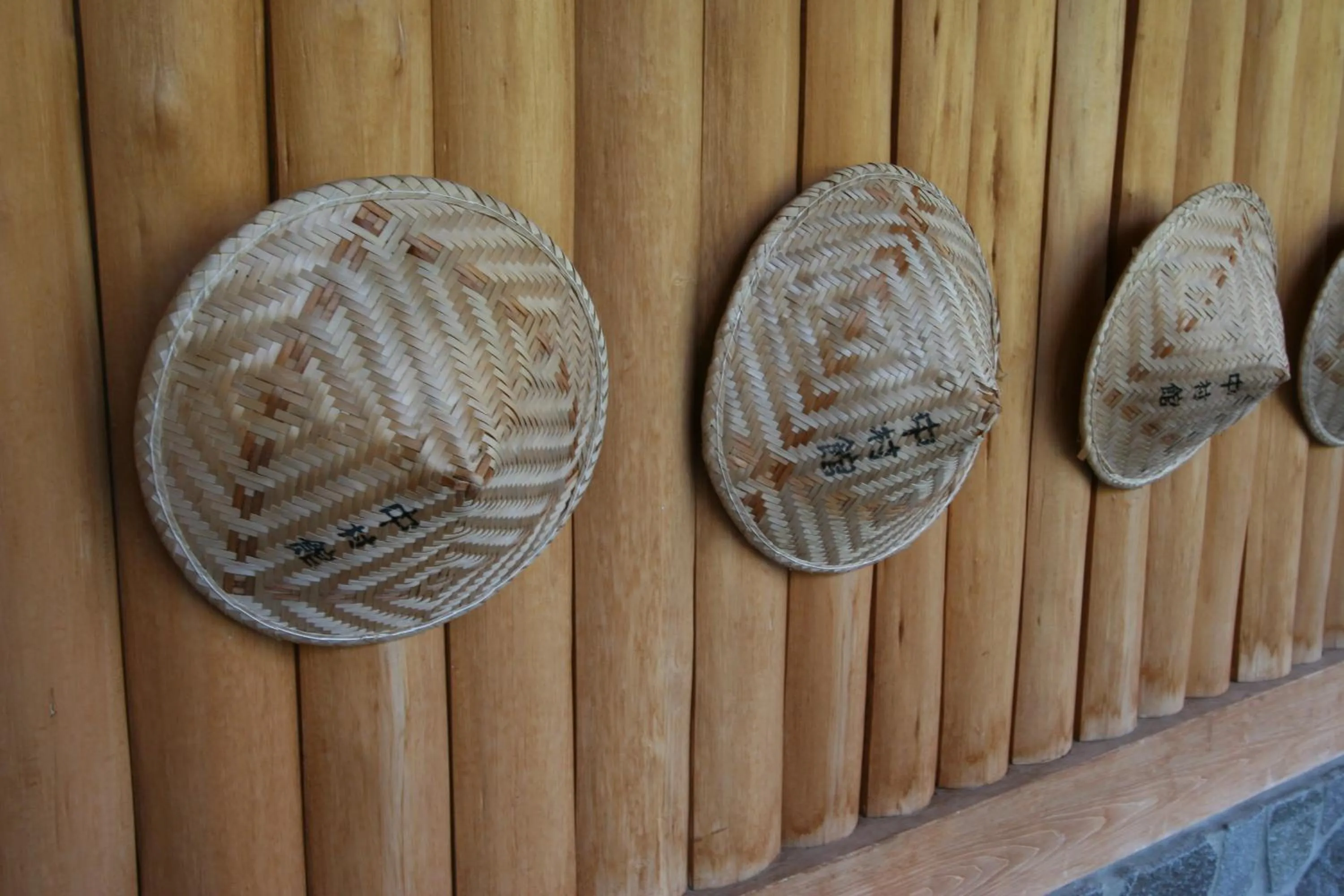 Other in Nakamurakan