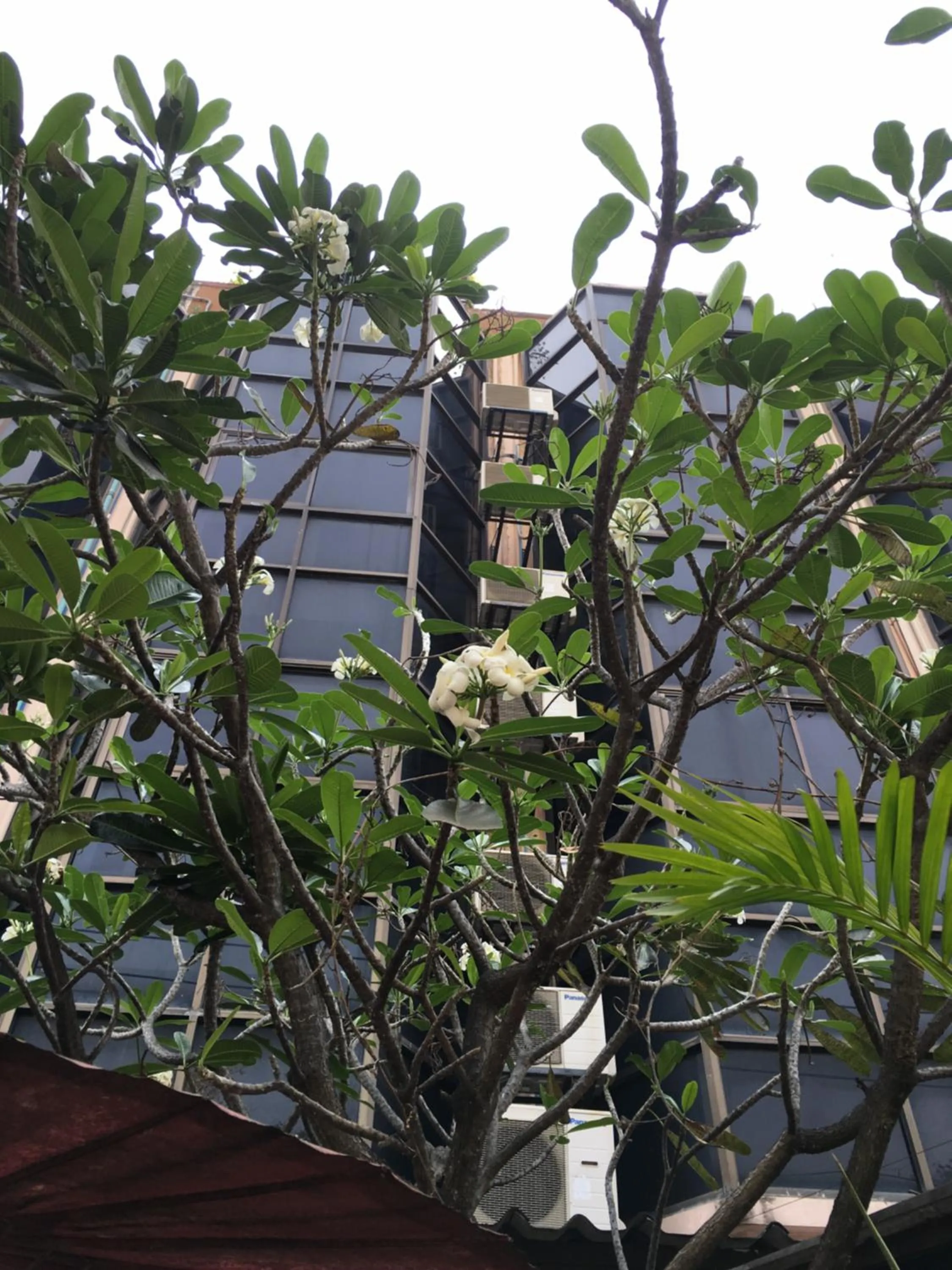 Baan Thalang @ Chiang Mai