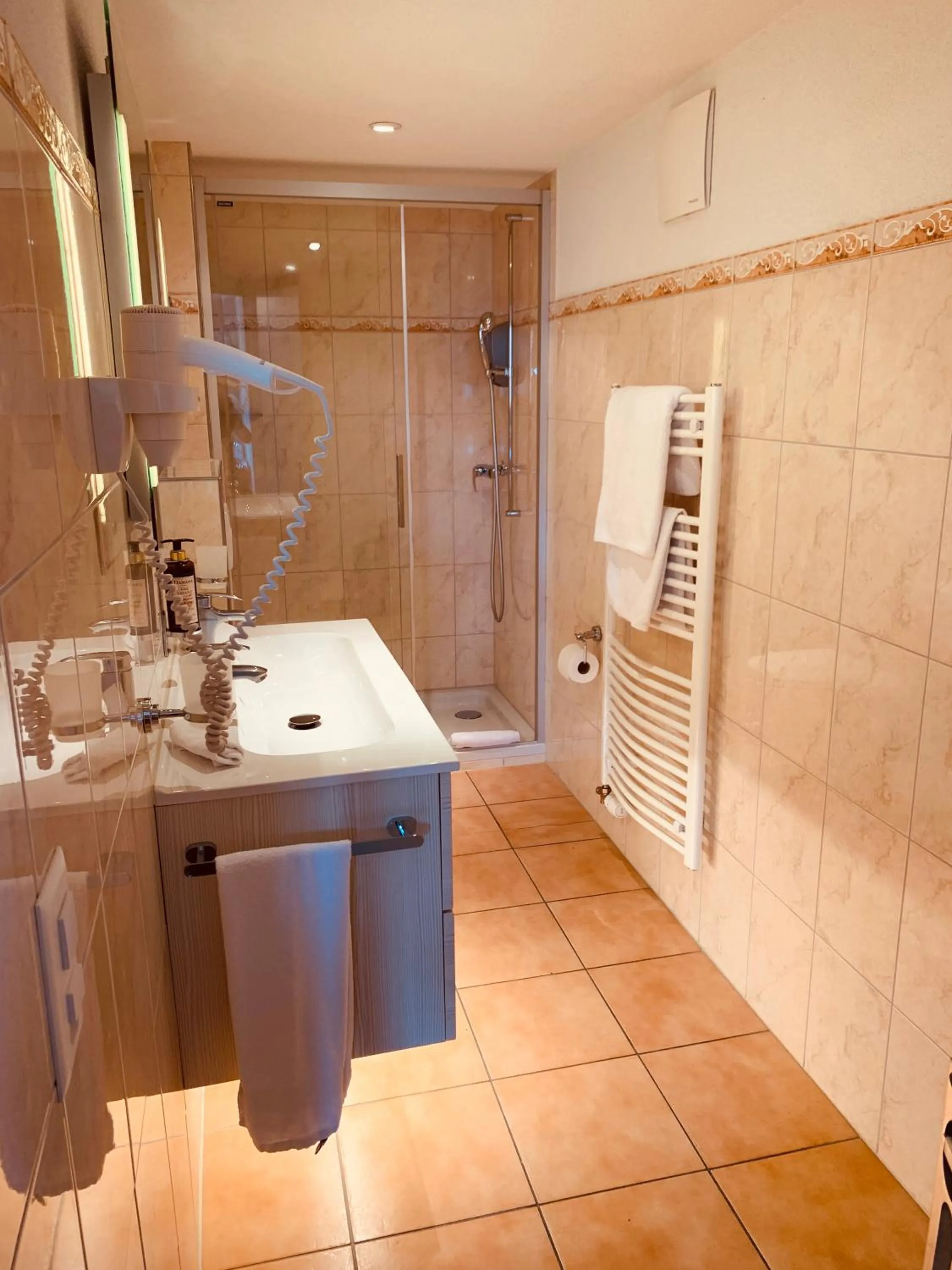 Shower in Gasthof zur Bündte