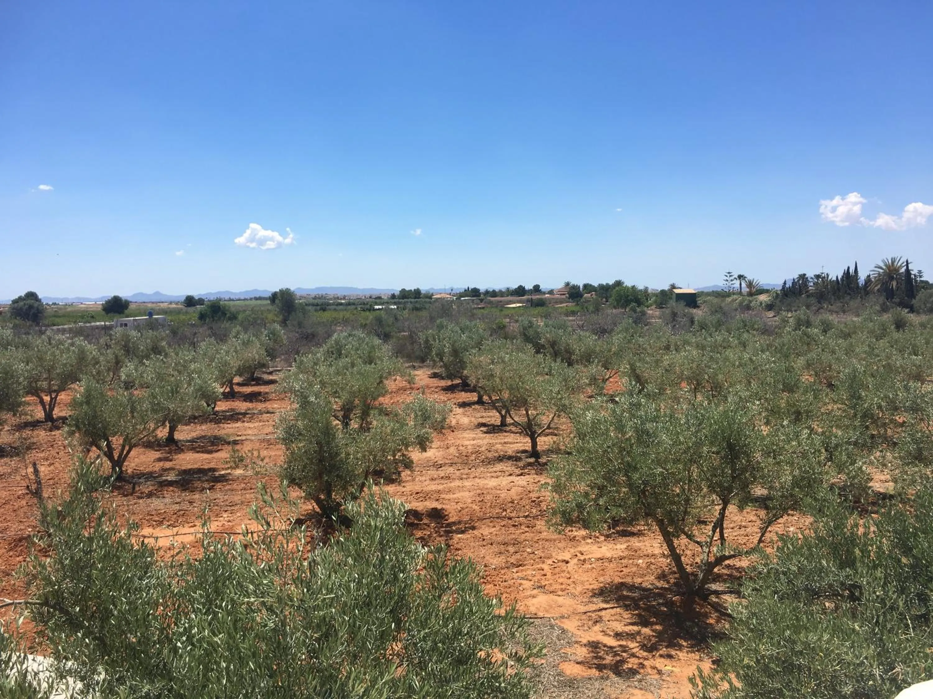 Natural landscape in Finca Tres Molinos B&B