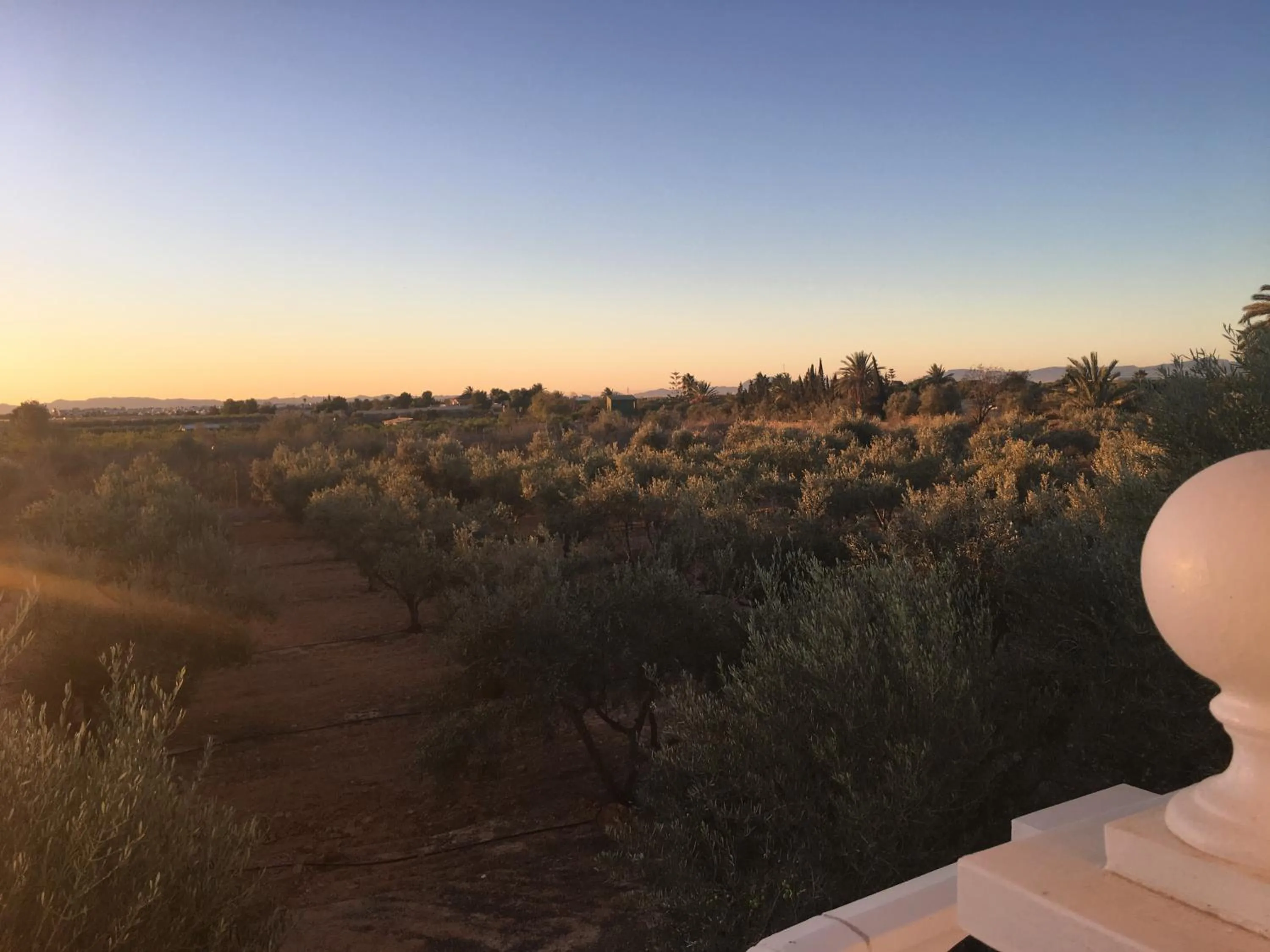 Natural landscape in Finca Tres Molinos B&B