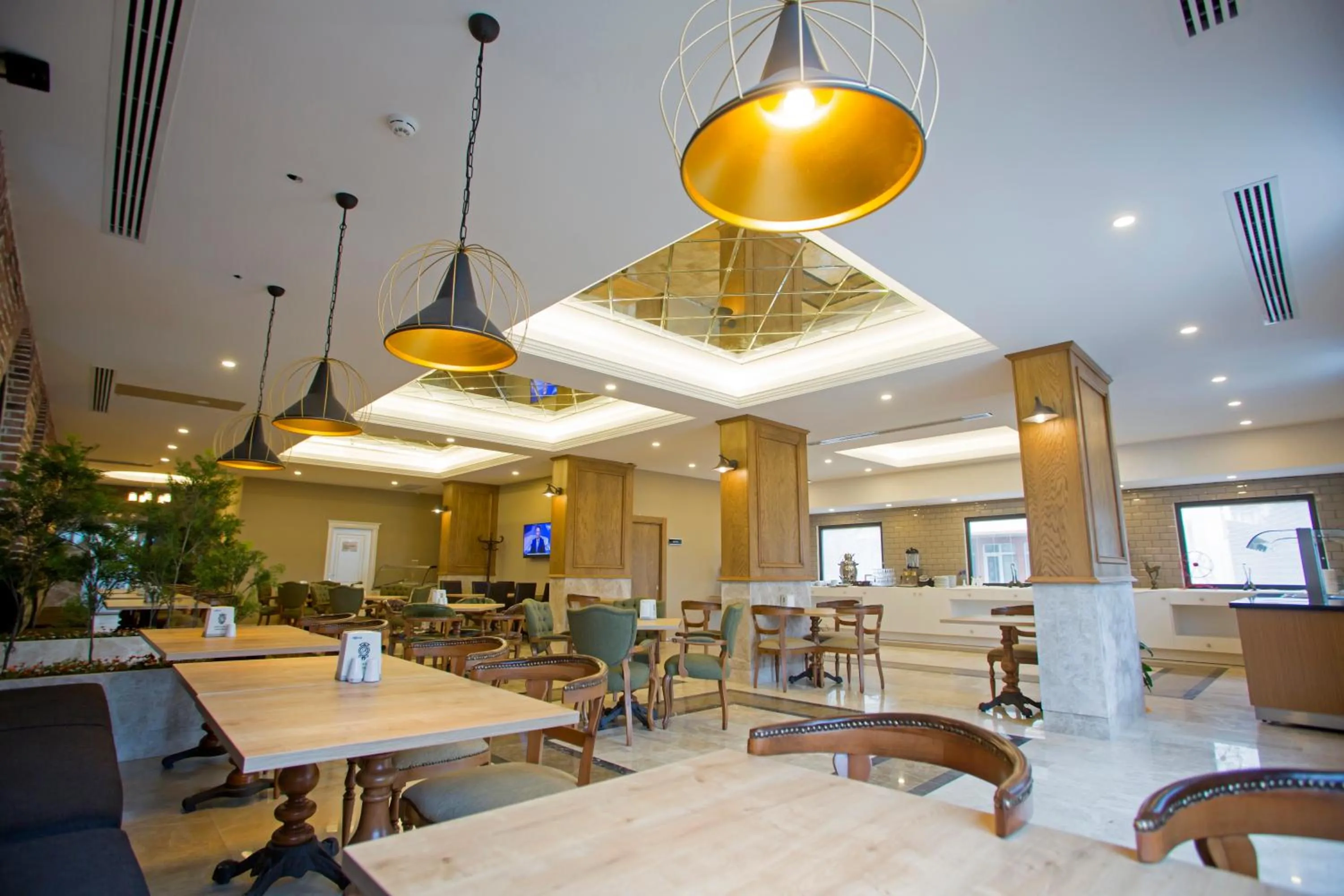 Restaurant/places to eat in Aktug Elegance Hotel