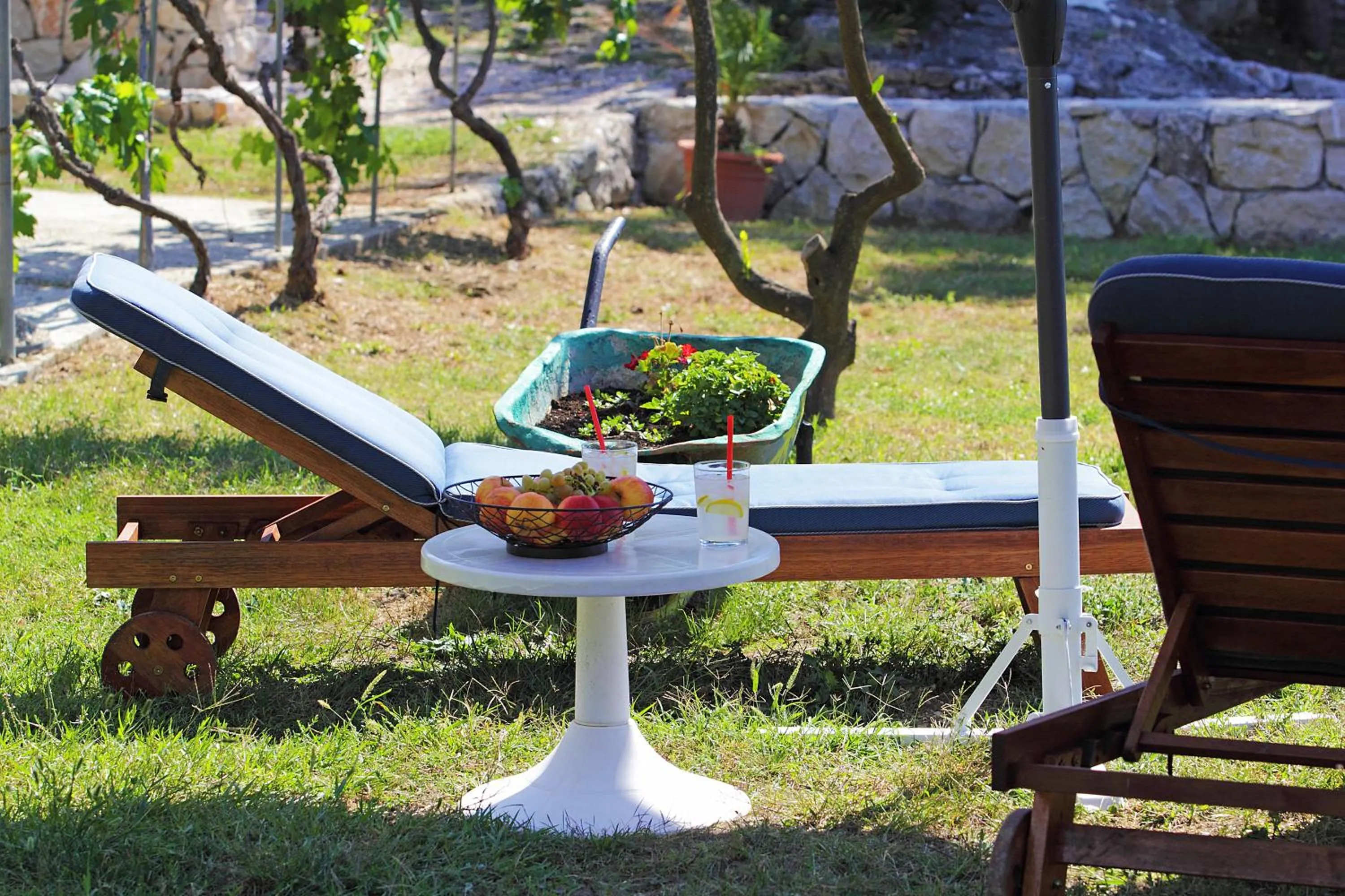 Garden in Vila Mozara