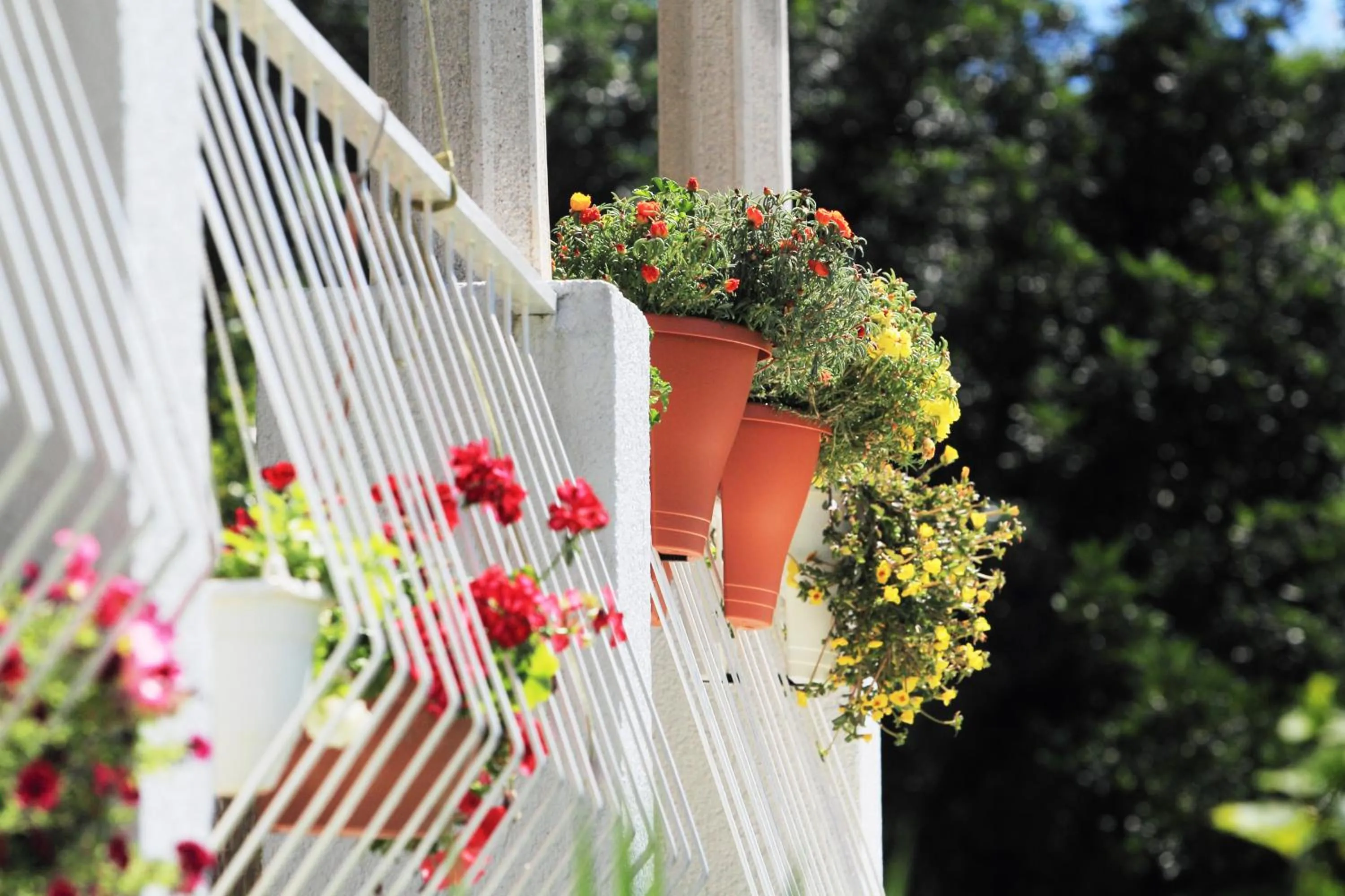 Balcony/Terrace in Vila Mozara