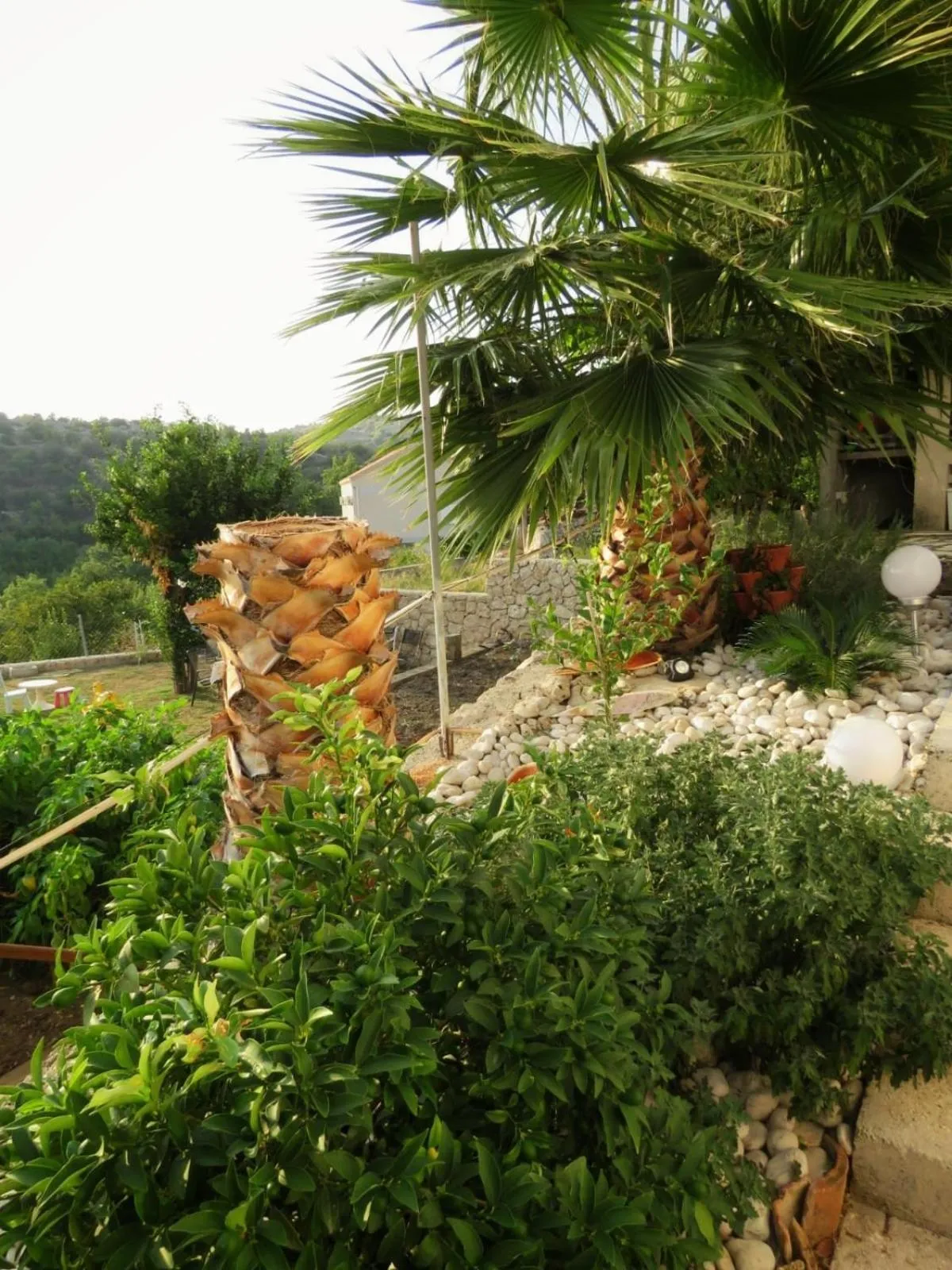 Vila Mozara